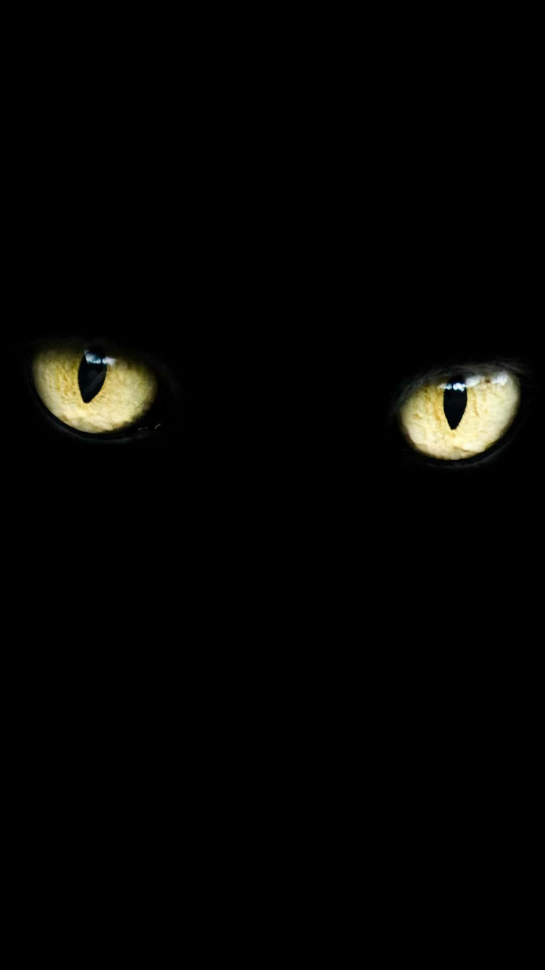pale yellow cat eyes, black cat, glowing yellow cat eyes, Full HD Phone Wallpaper