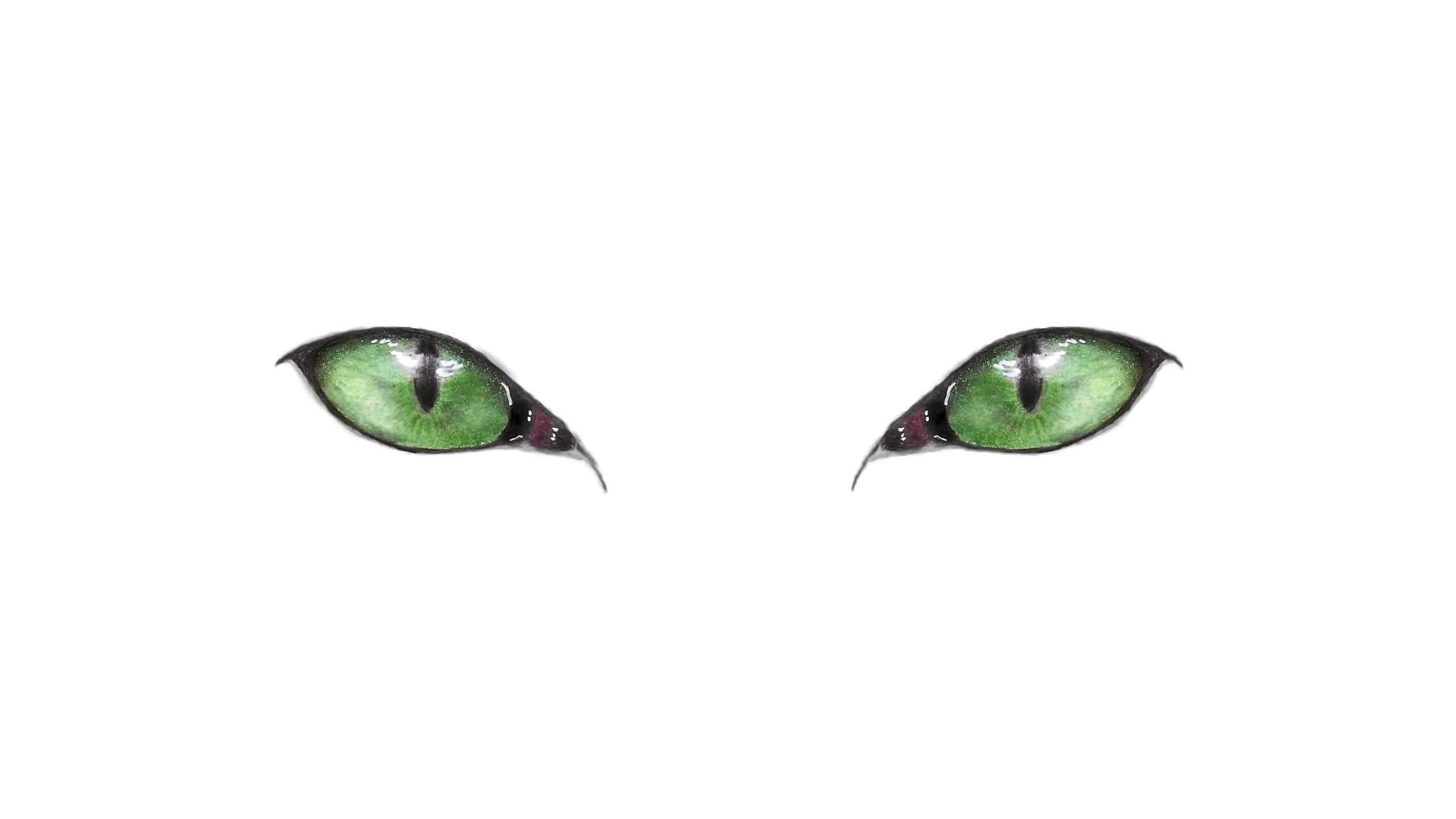 Cat Green Eyes, vivid green feline eyes, black pupils, 2K Desktop Wallpaper