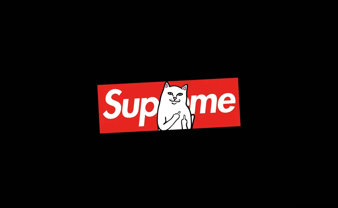 Cat Meme