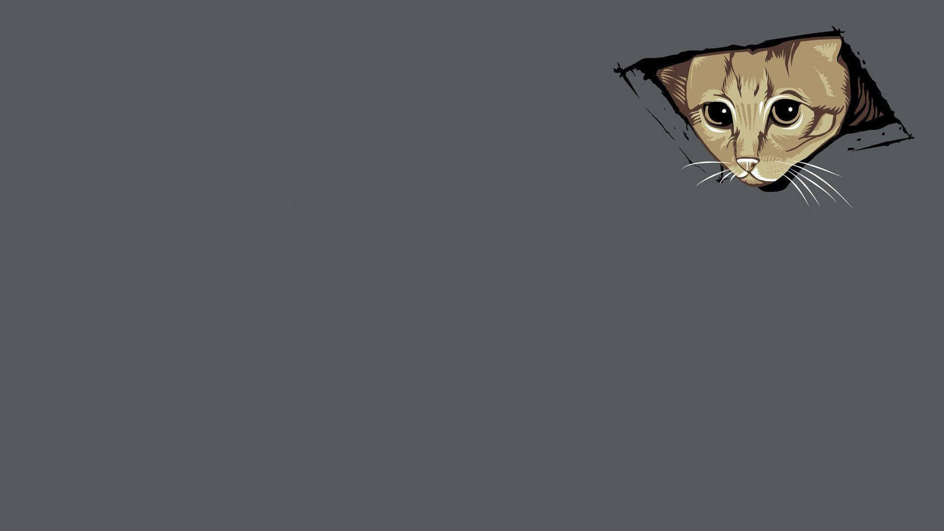 Gazing Cat Meme Laptop, cartoon cat, torn hole, Full HD Desktop Wallpaper