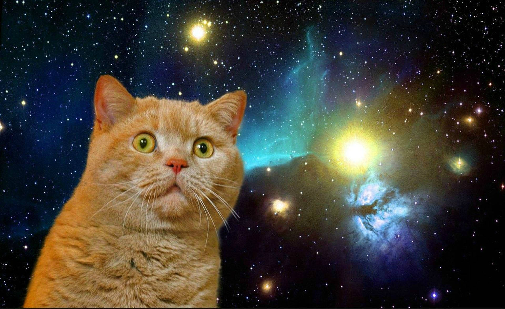 orange tabby cat, wide green eyes, vibrant cosmic nebula, Full HD Desktop Wallpaper