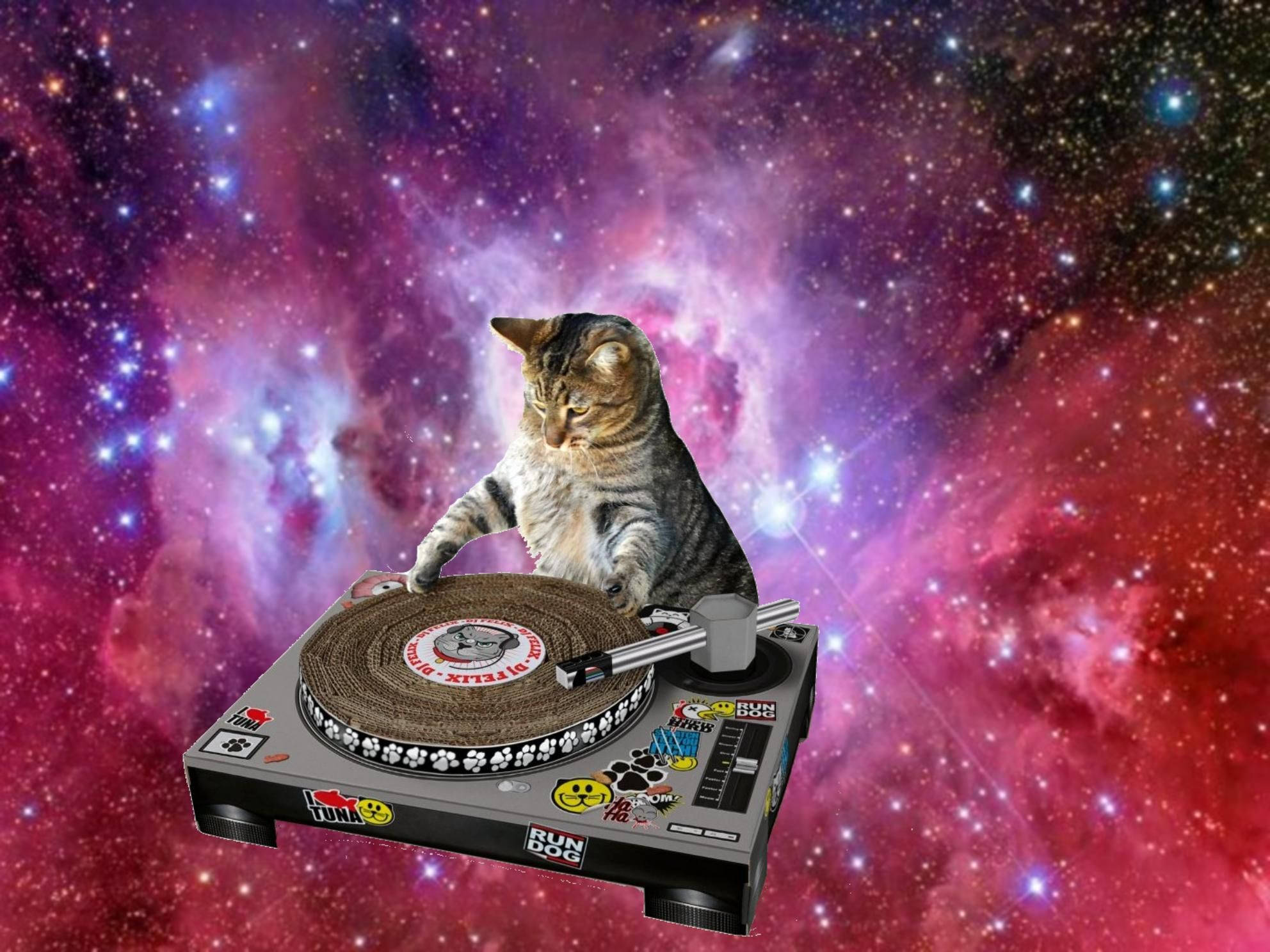 tabby cat, DJ turntable, cosmic nebula, Full HD Desktop Wallpaper