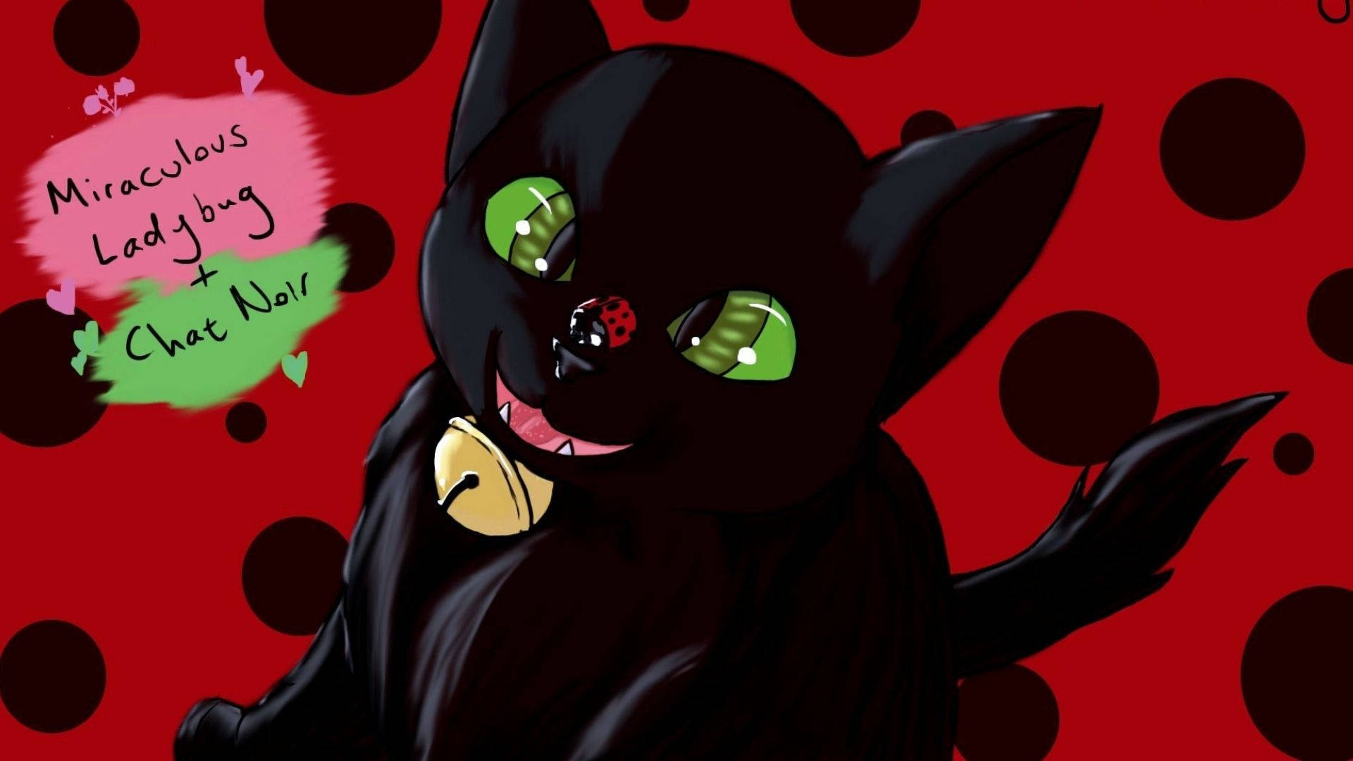 Cat Noir, black cat, green eyes, Full HD Desktop Wallpaper
