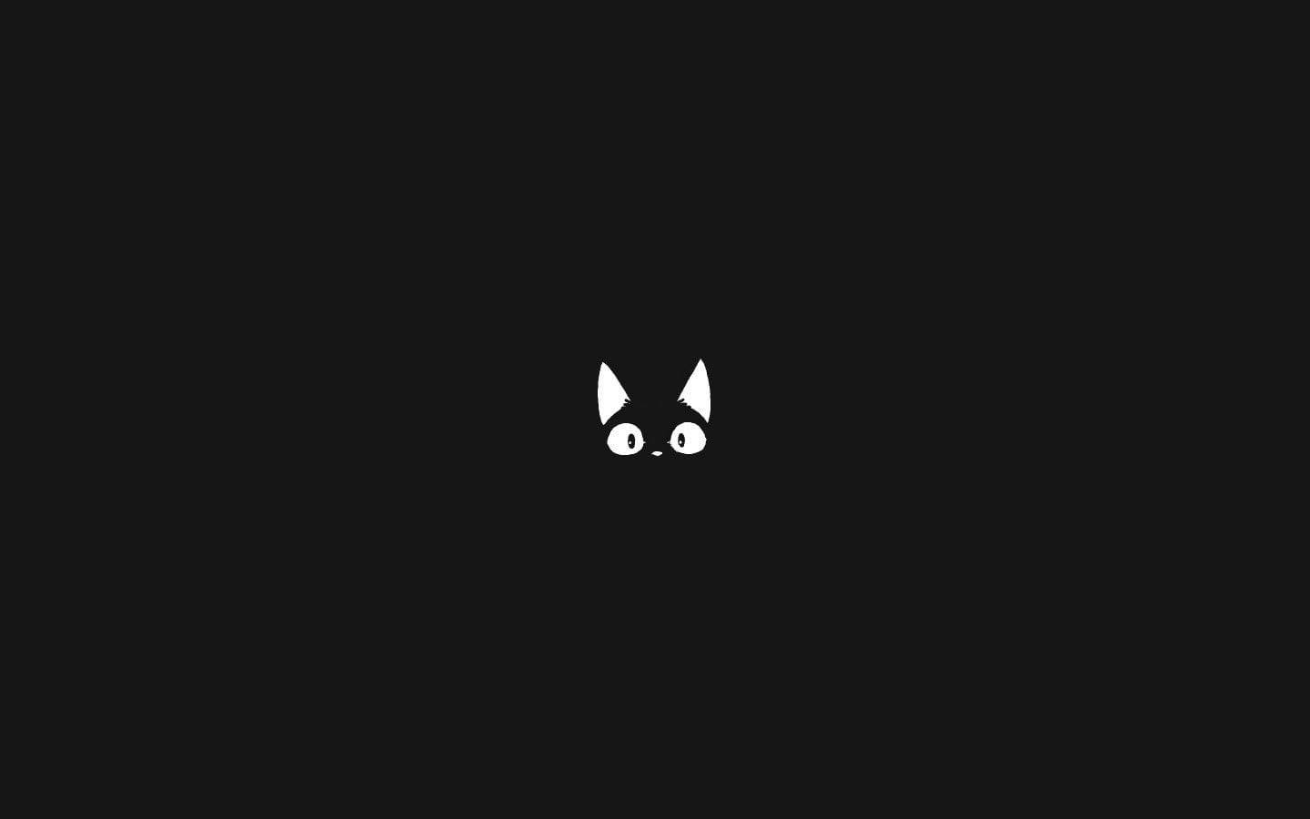 cute cat, black and white, white cat face, HD Desktop Wallpaper