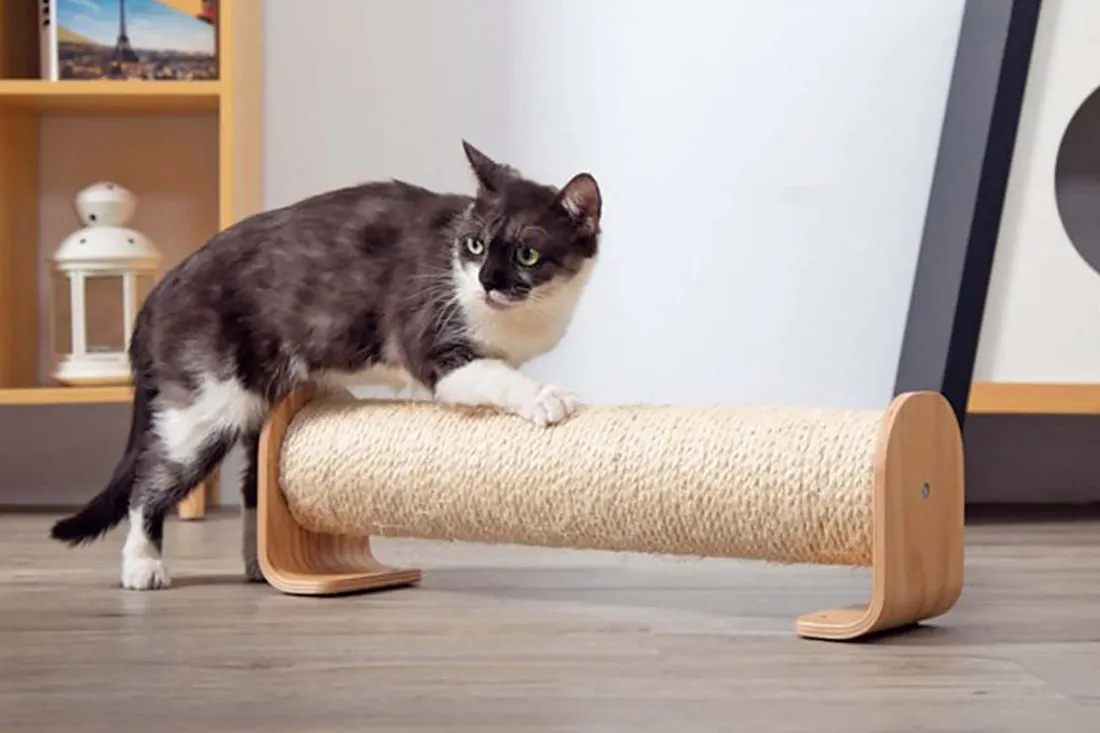Cat Scratching Post