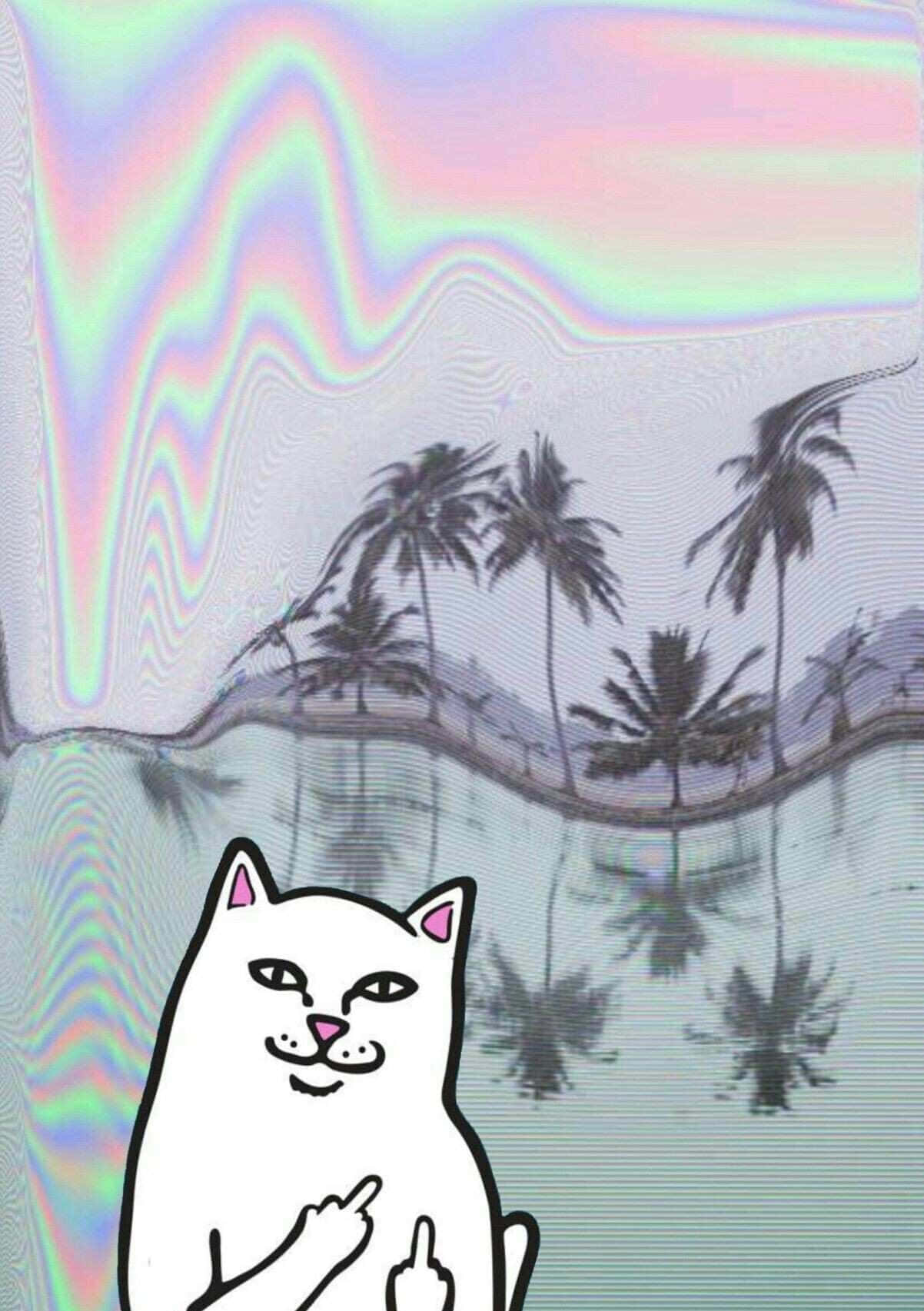 ripndip, cartoon cat, holographic sky, HD Phone Wallpaper
