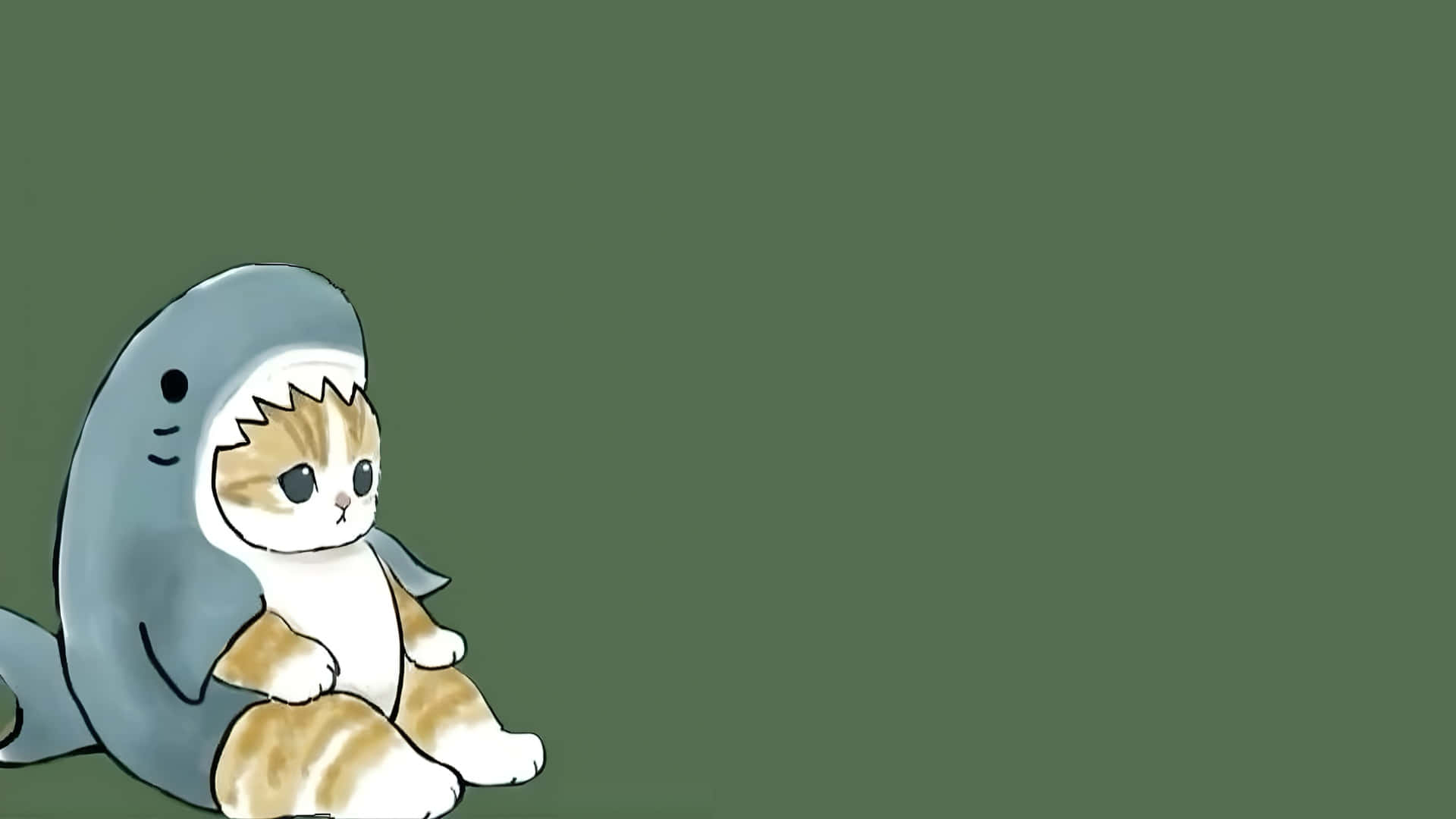 cute cat, shark costume, gray shark costume, Full HD Desktop Wallpaper