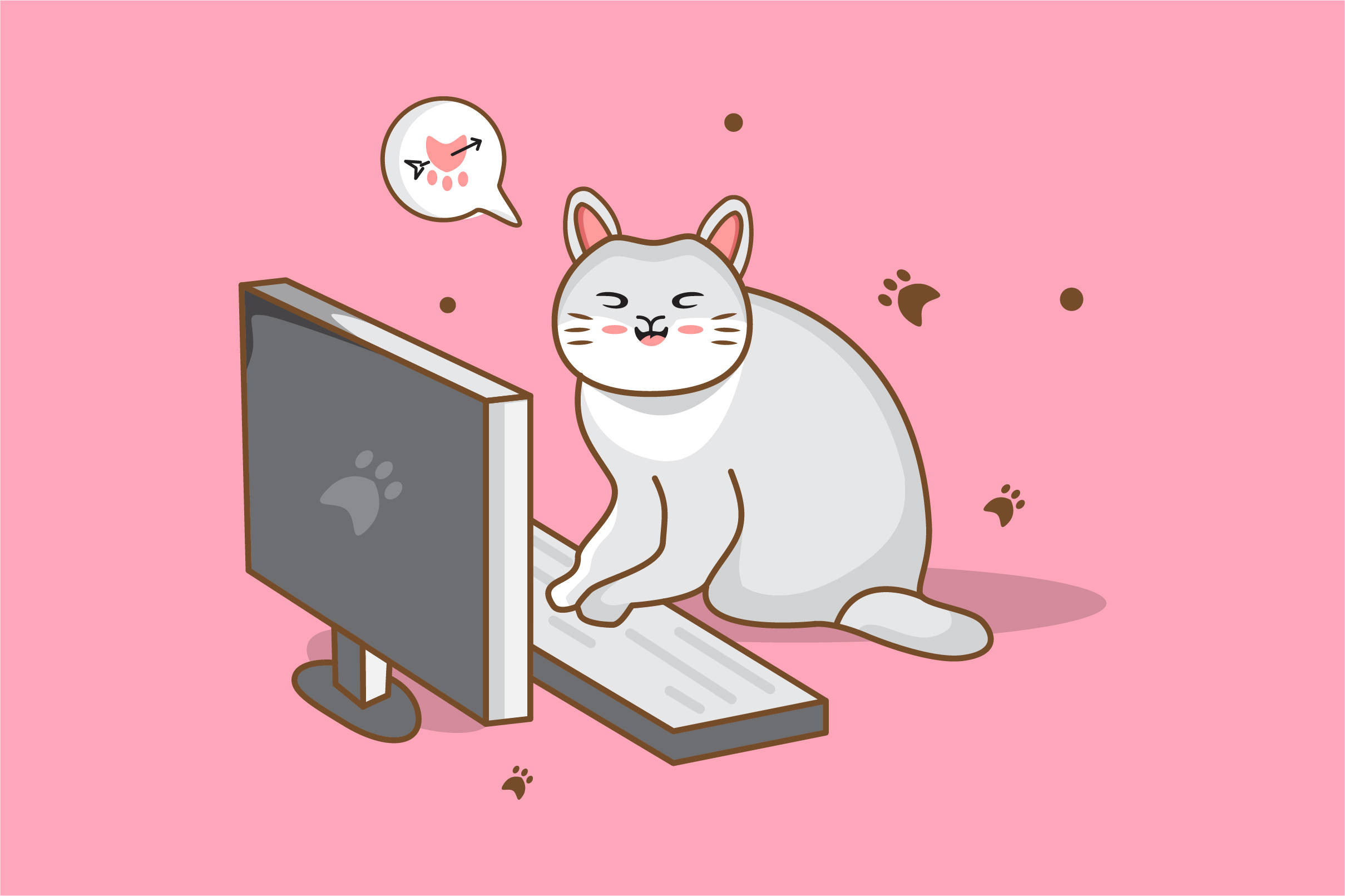 cat, keyboard, white cat, Full HD Desktop Wallpaper