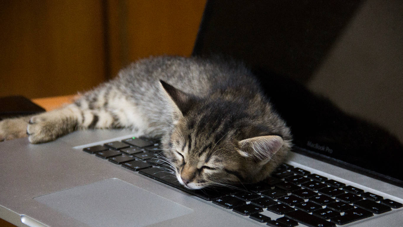 tabby cat, laptop keyboard, dimly lit room, HD Desktop Wallpaper