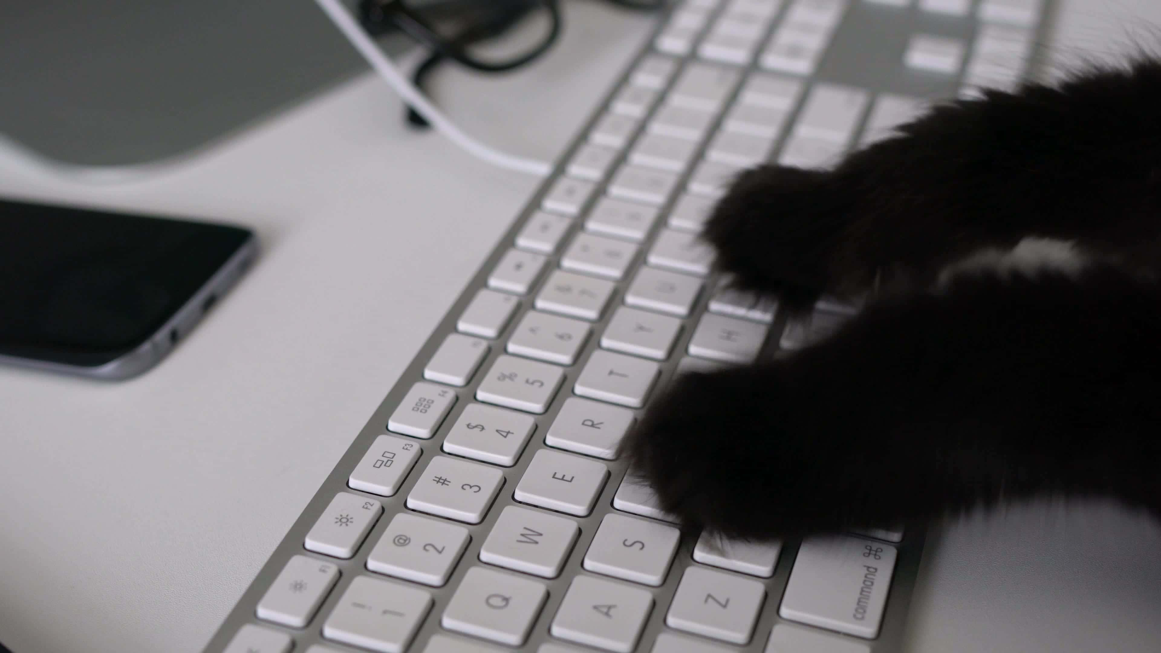 black cat, silver keyboard, smartphone, 4K Desktop Wallpaper