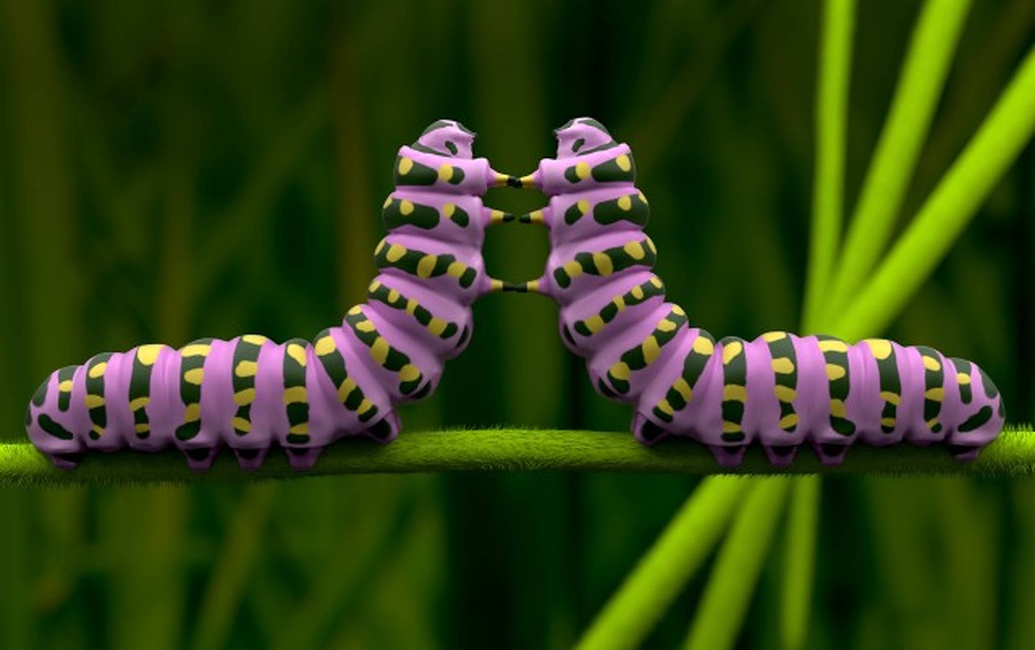 two purple caterpillar insects, yellow and black stripes, green stem, Full HD Desktop Wallpaper