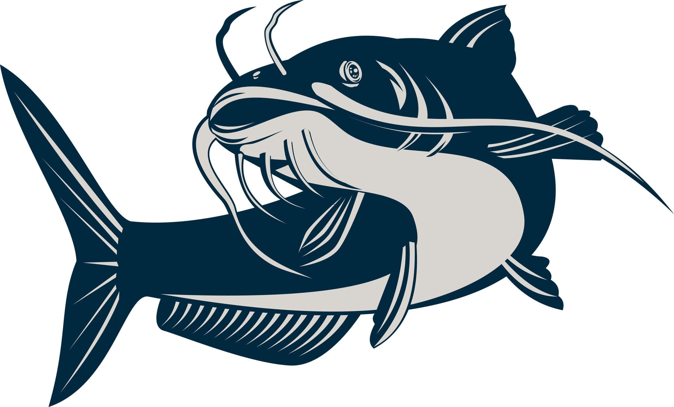 Catfish, navy, gray, Full HD Desktop Wallpaper