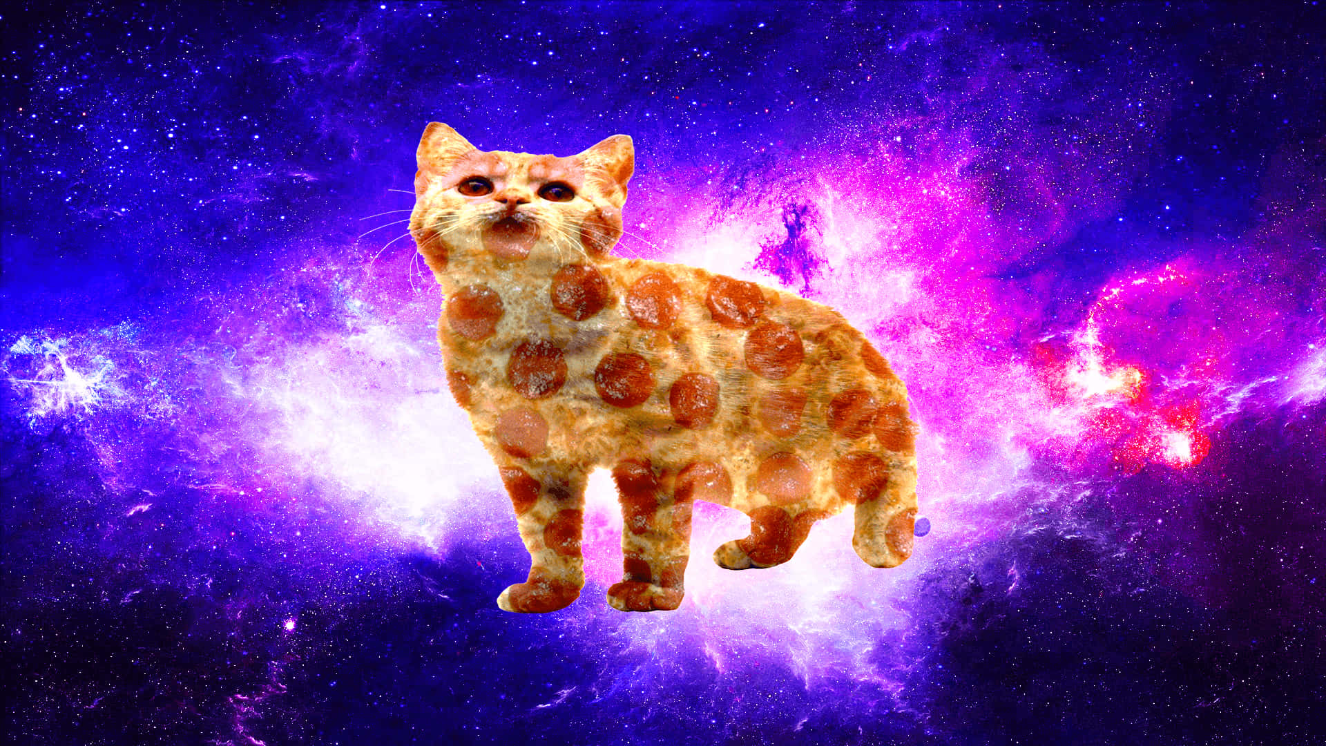 Cats in space, pizza-pepperoni cat, cosmic nebula, Full HD Desktop Wallpaper