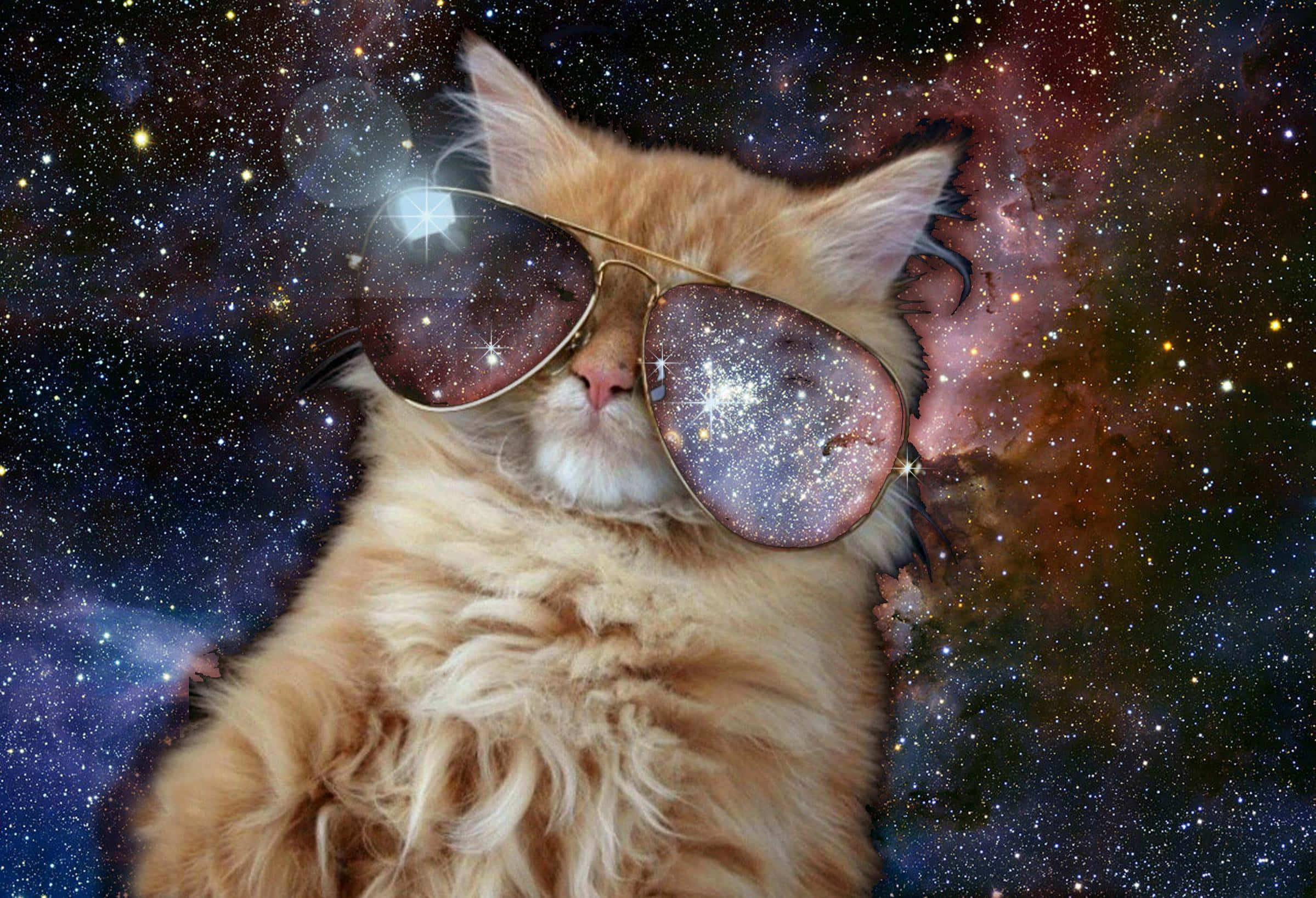 cats in space, fluffy ginger cat, starry aviator sunglasses, Full HD Desktop Wallpaper