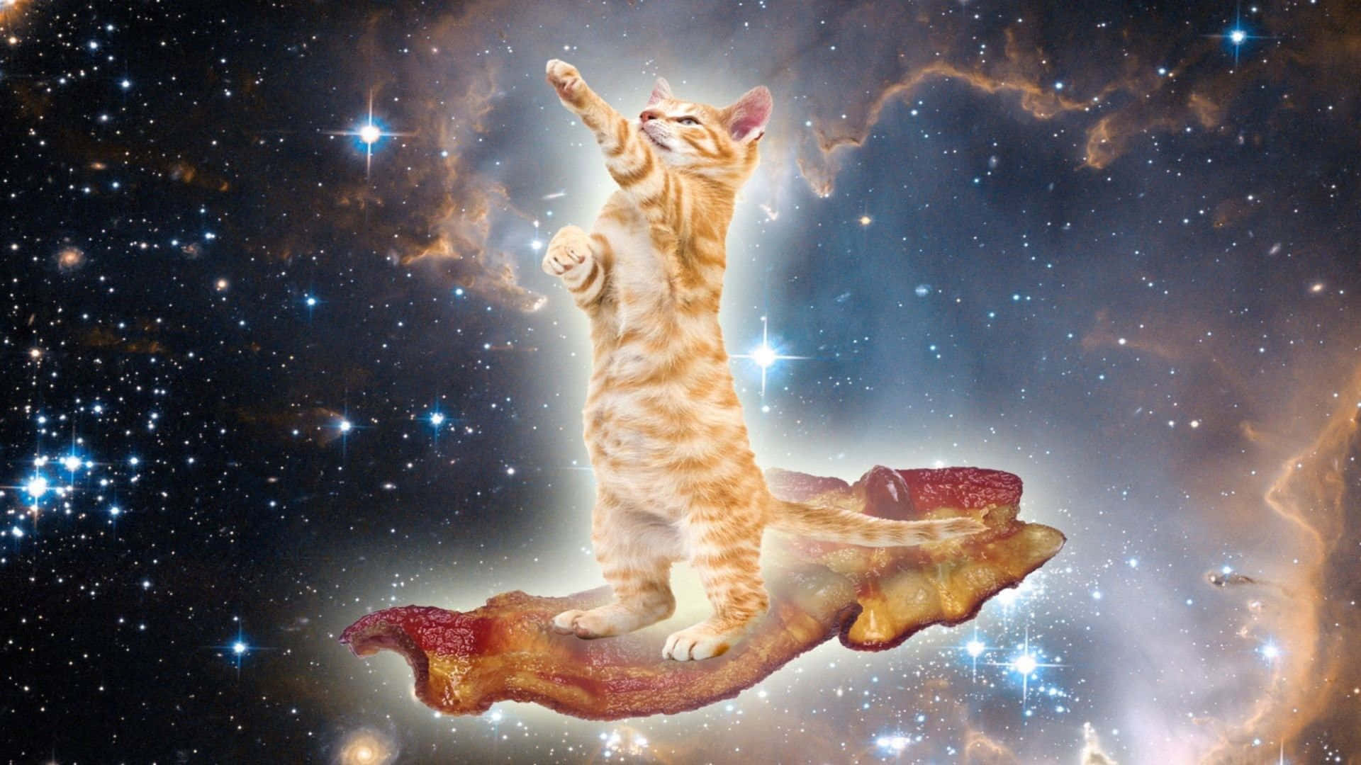 orange tabby kitten, crispy bacon strip, starry cosmic nebula, Full HD Desktop Wallpaper