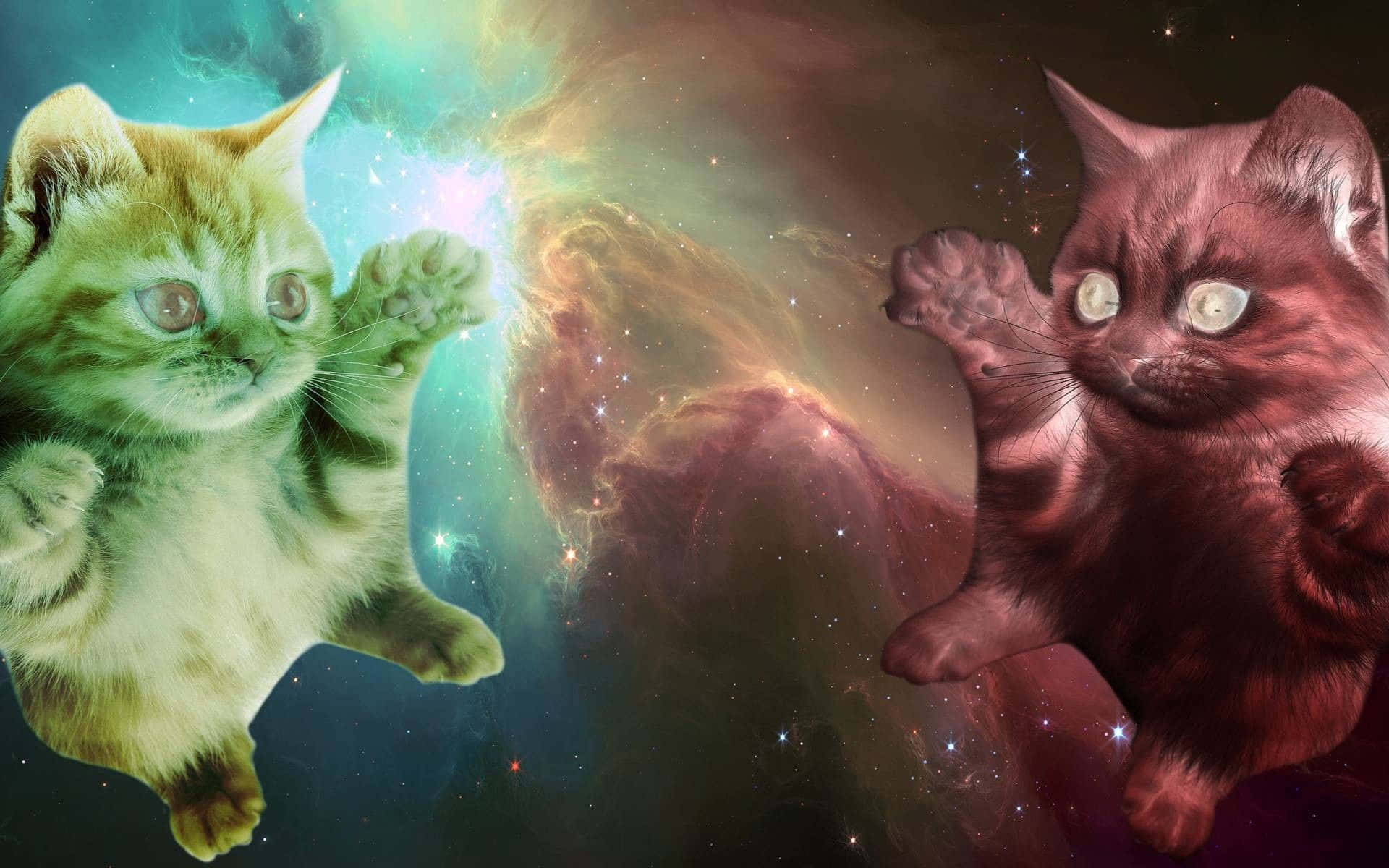 cats in space, fluffy kittens, cosmic nebulae, Full HD Desktop Wallpaper