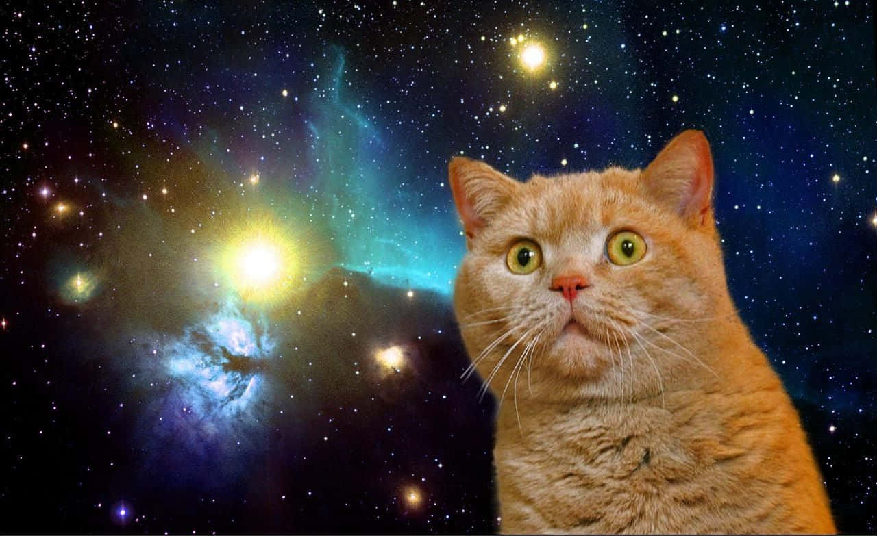 orange tabby cat, green eyes, cosmic nebula, HD Desktop Wallpaper