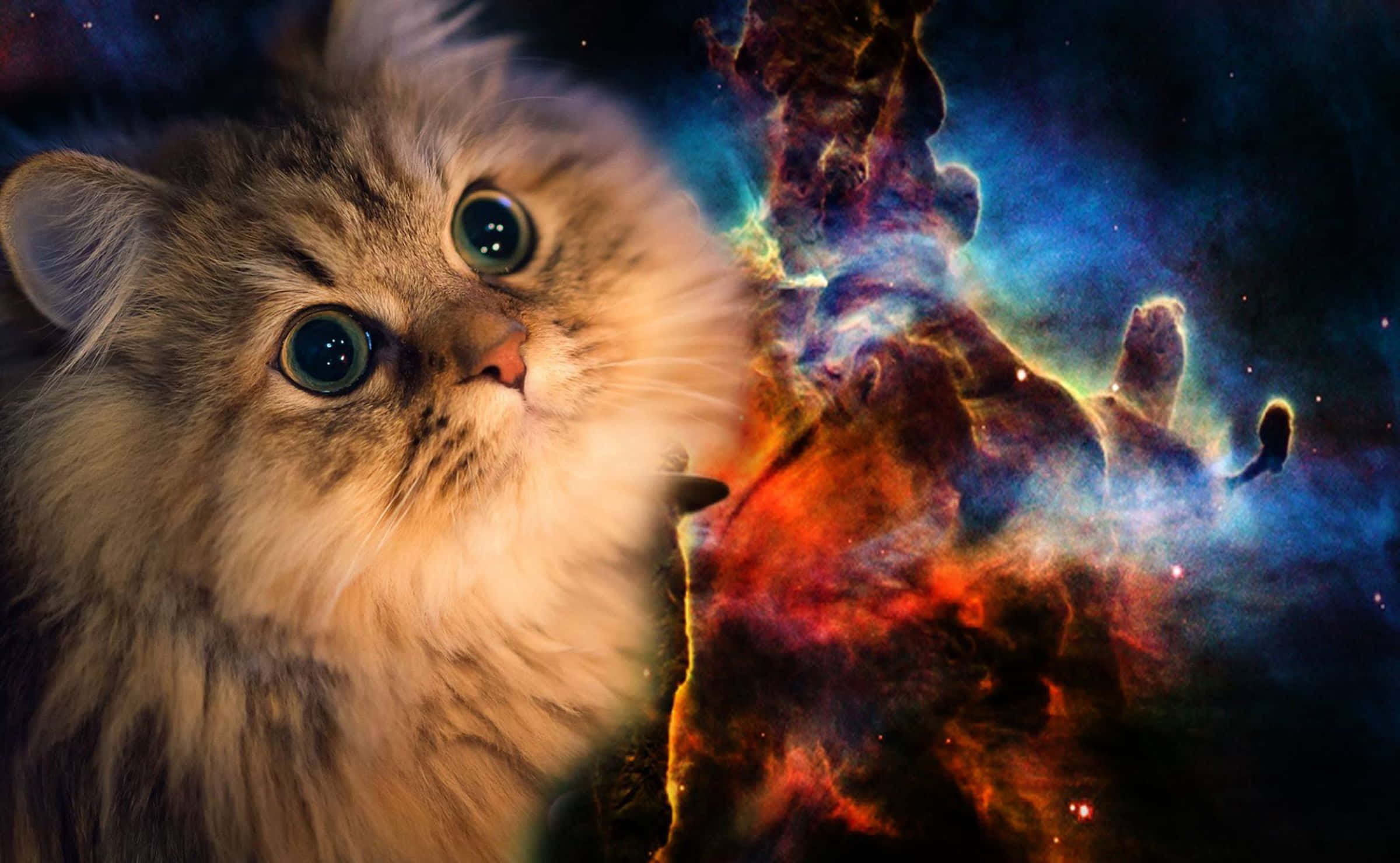 Cats in space, cosmic nebula, red, Full HD Desktop Wallpaper