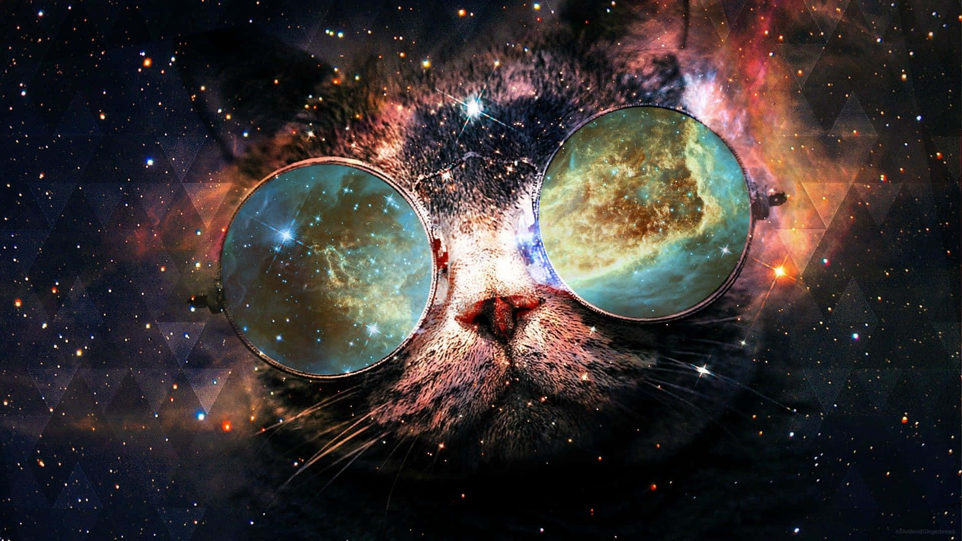 Cats in Space, nebulae, starry galaxy, Full HD Desktop Wallpaper