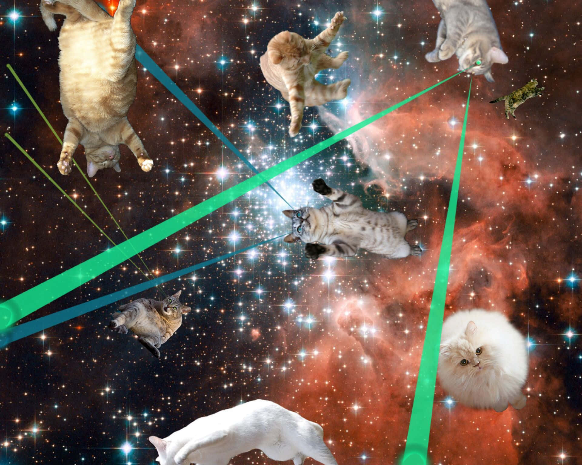 Cats in space, nebula, green lasers, Full HD Desktop Wallpaper