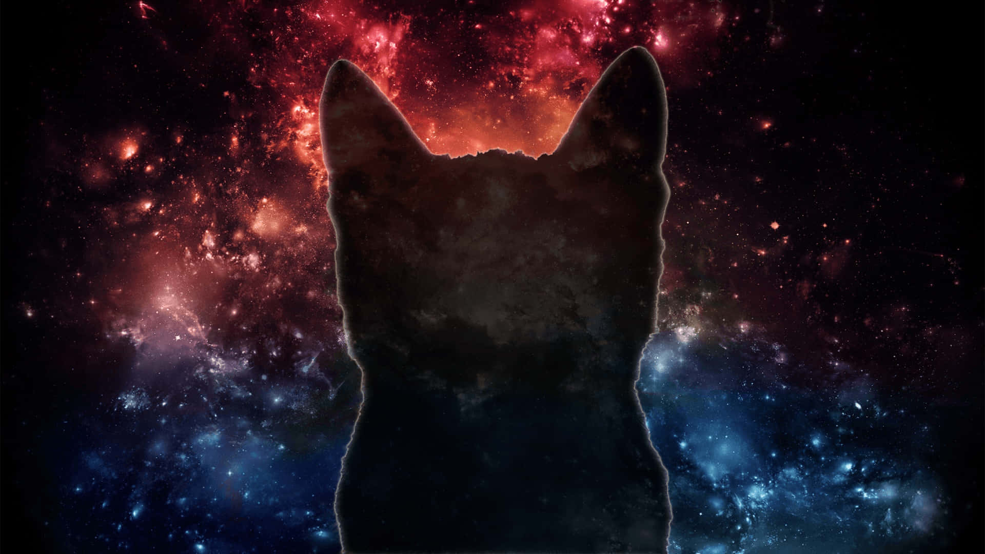 cats in space, black cat, cosmic nebula, Full HD Desktop Wallpaper
