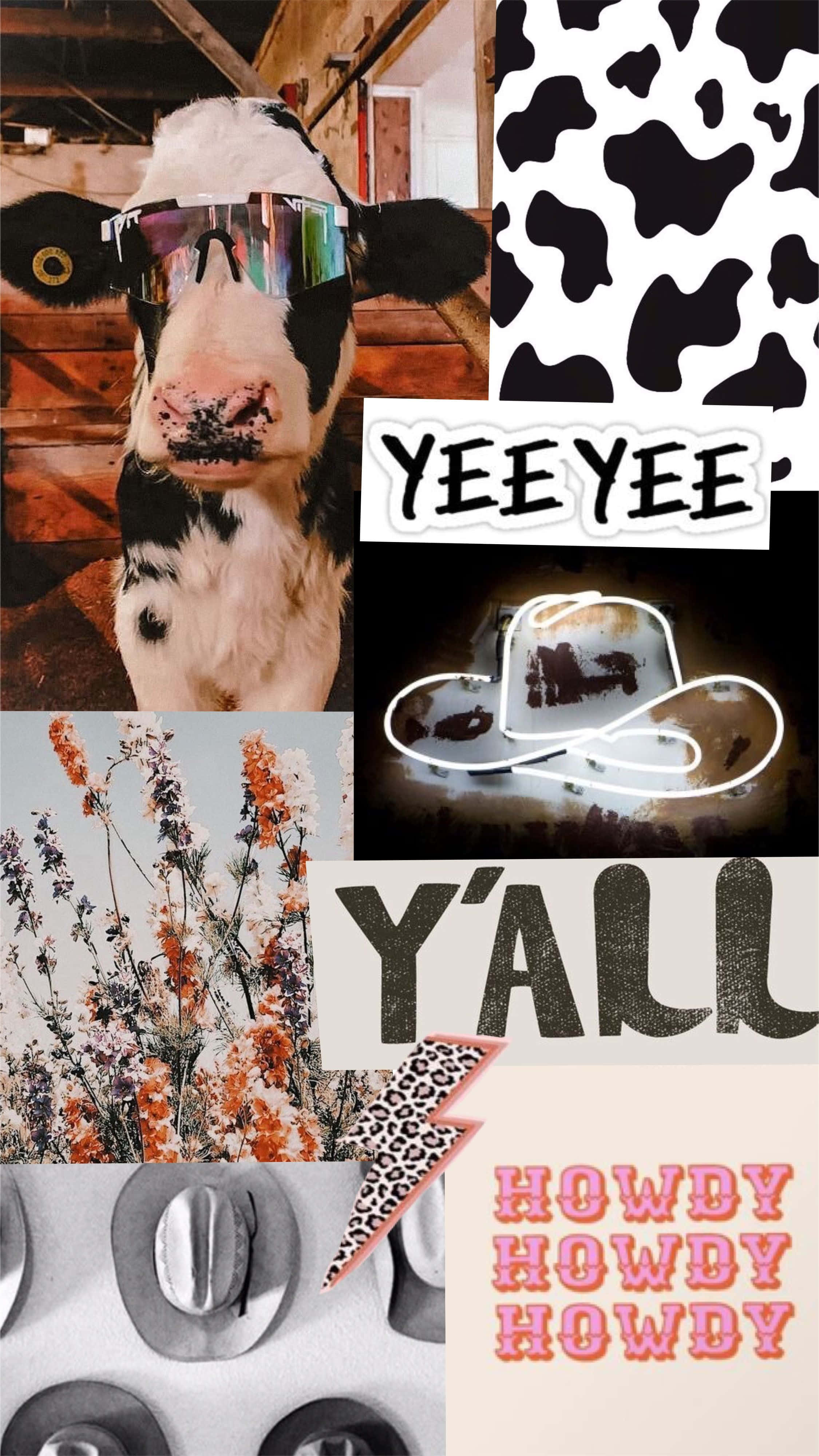 cow, reflective sunglasses, barn, 4K Phone Wallpaper