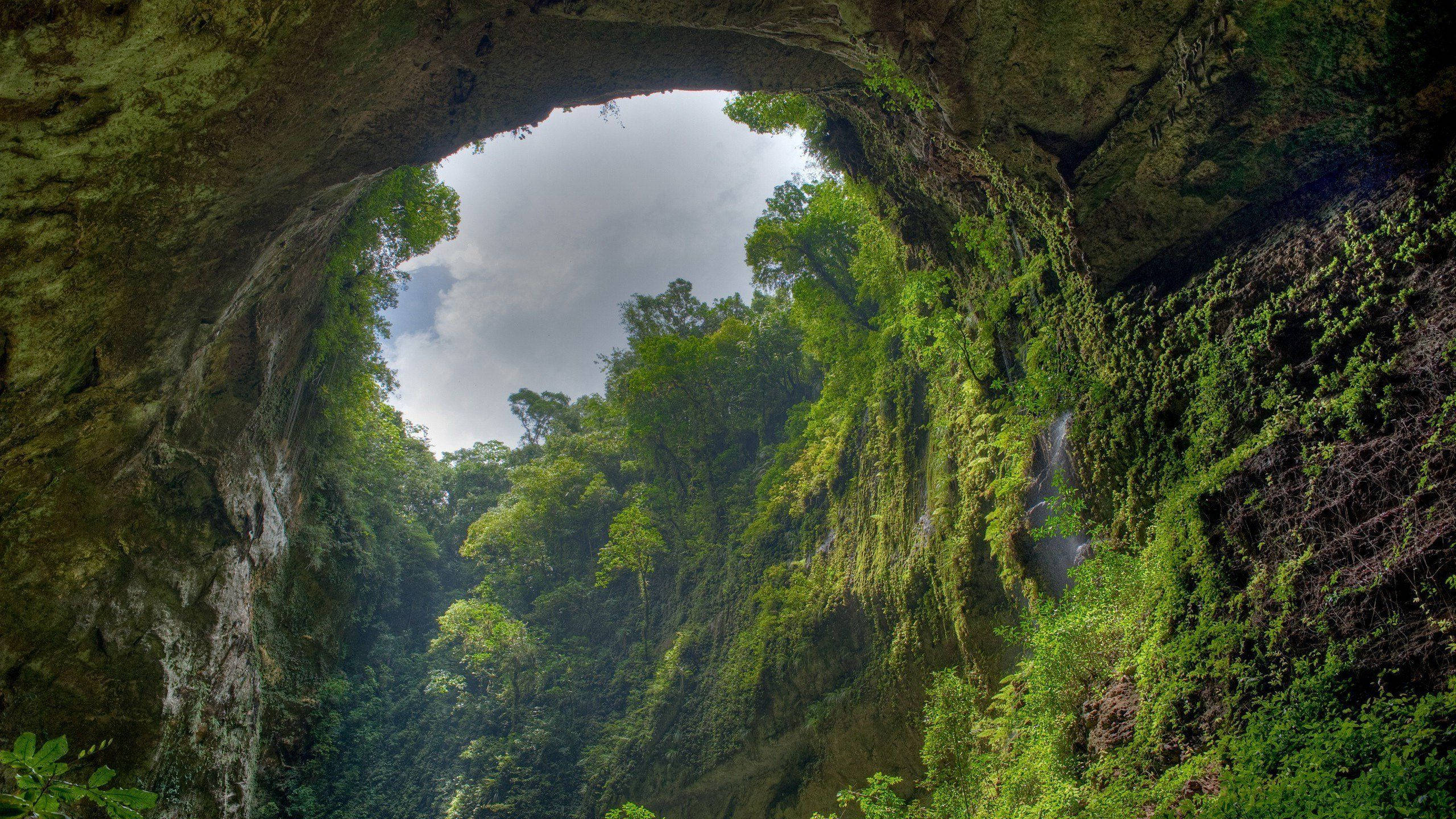 cave, forest, stone arch, 2K Desktop Wallpaper