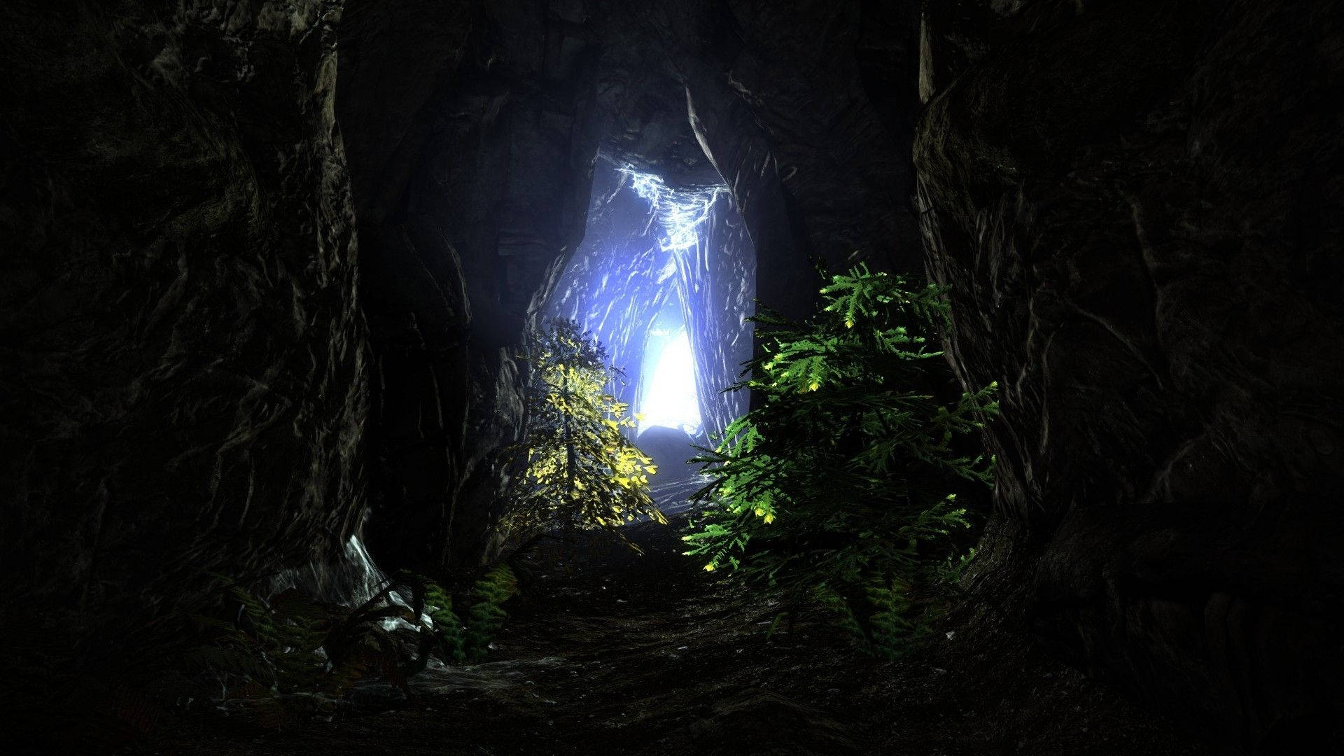 narrow dark cave, bright blue glowing exit, glowing green ferns, Full HD Desktop Wallpaper