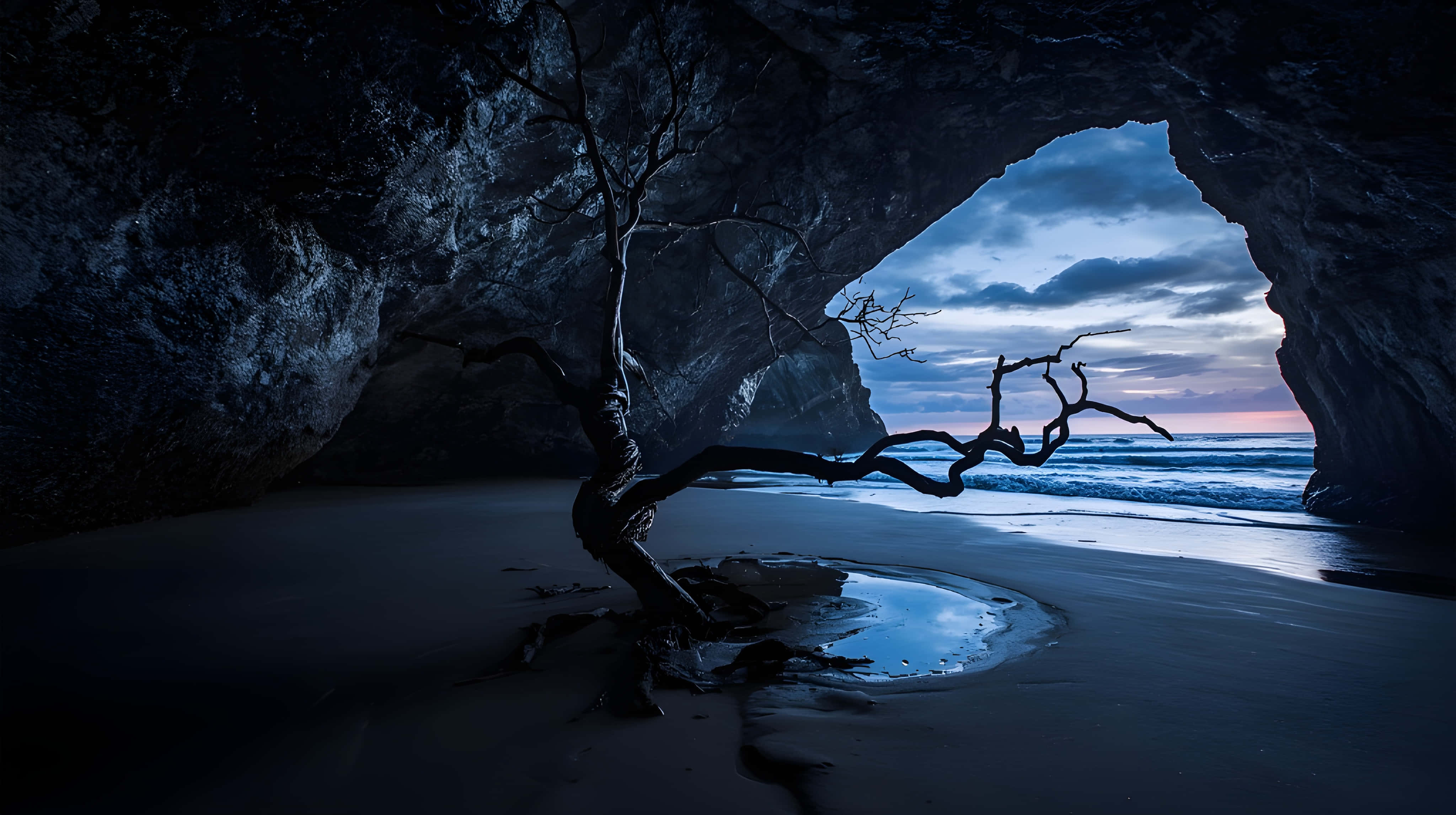 twisted bare tree, dark coastal cave, sunset, 4K Desktop Wallpaper