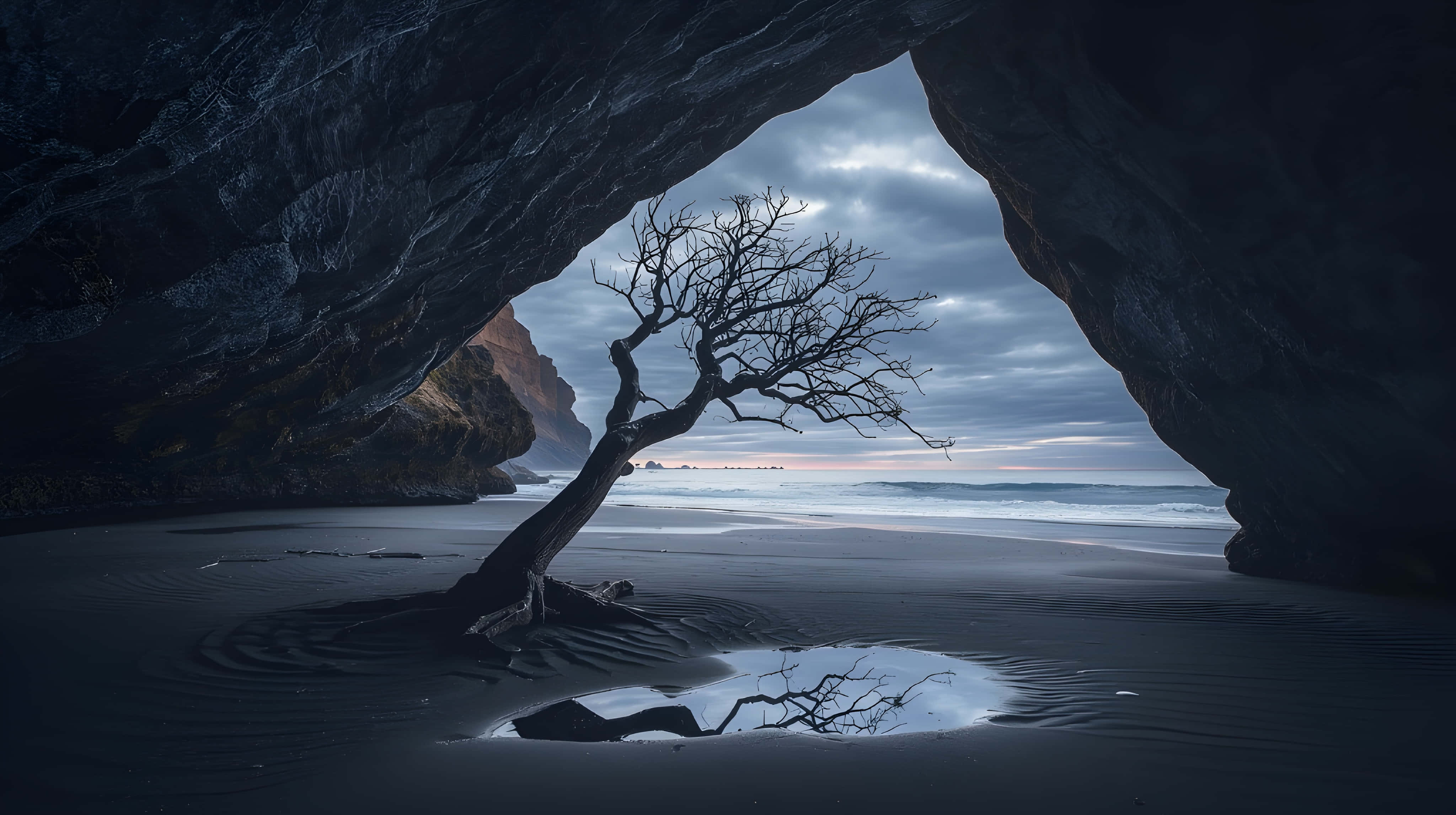 dark ocean cave, lone bare tree, black sand, 4K Desktop Wallpaper