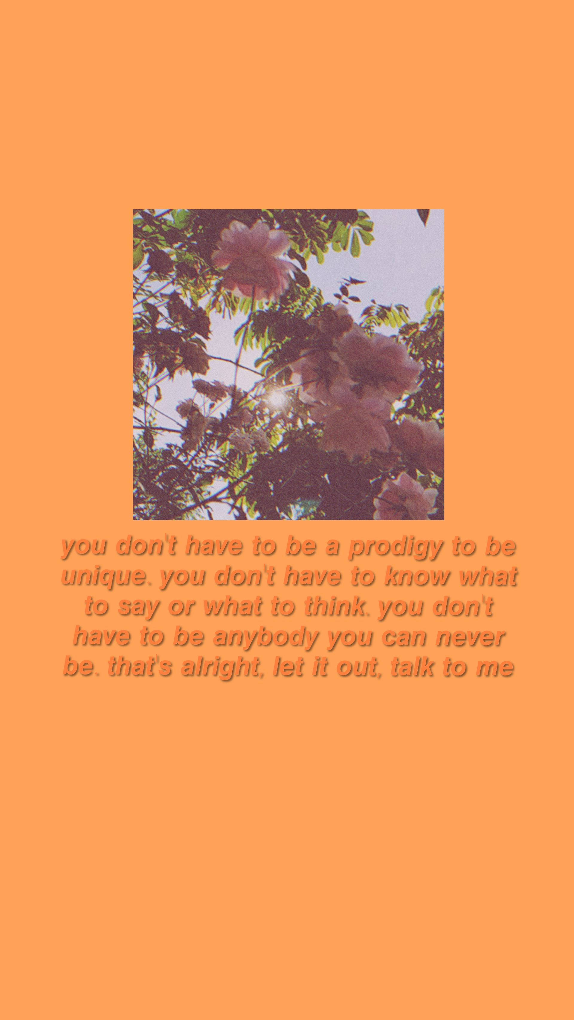 Orange Cavetown, pink blossoms, bright sky, 2K Phone Wallpaper