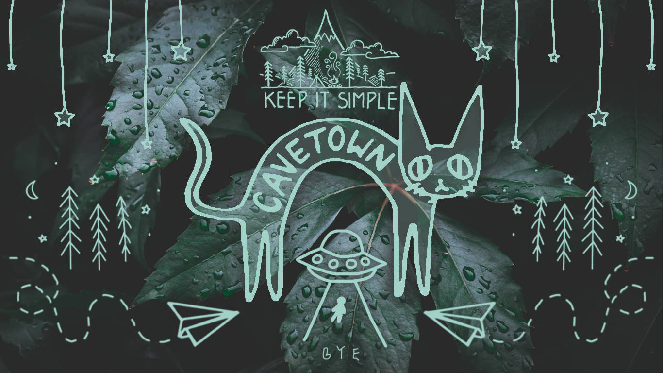 Cavetown, cat, dewy leaves, HD Desktop Wallpaper