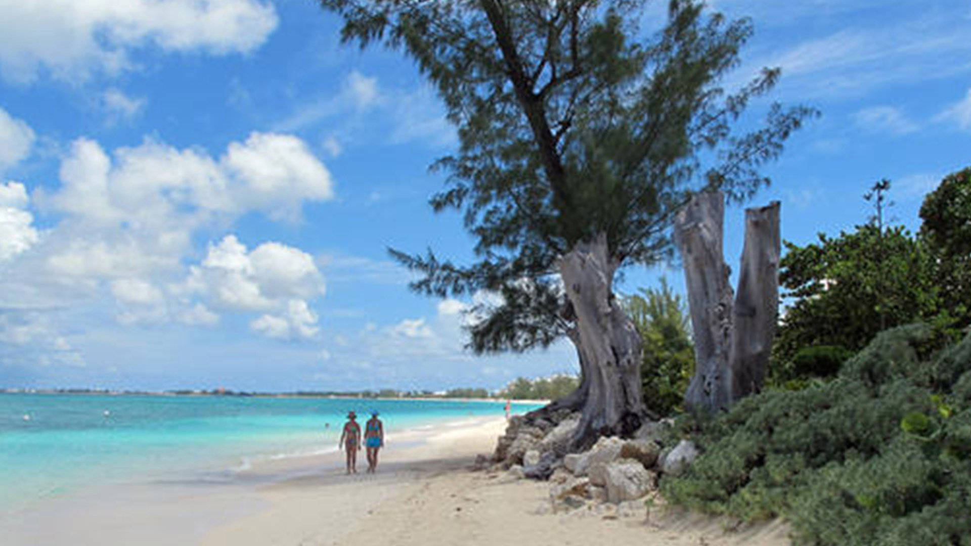 Cayman Island, tropical beach, turquoise waters, Full HD Desktop Wallpaper
