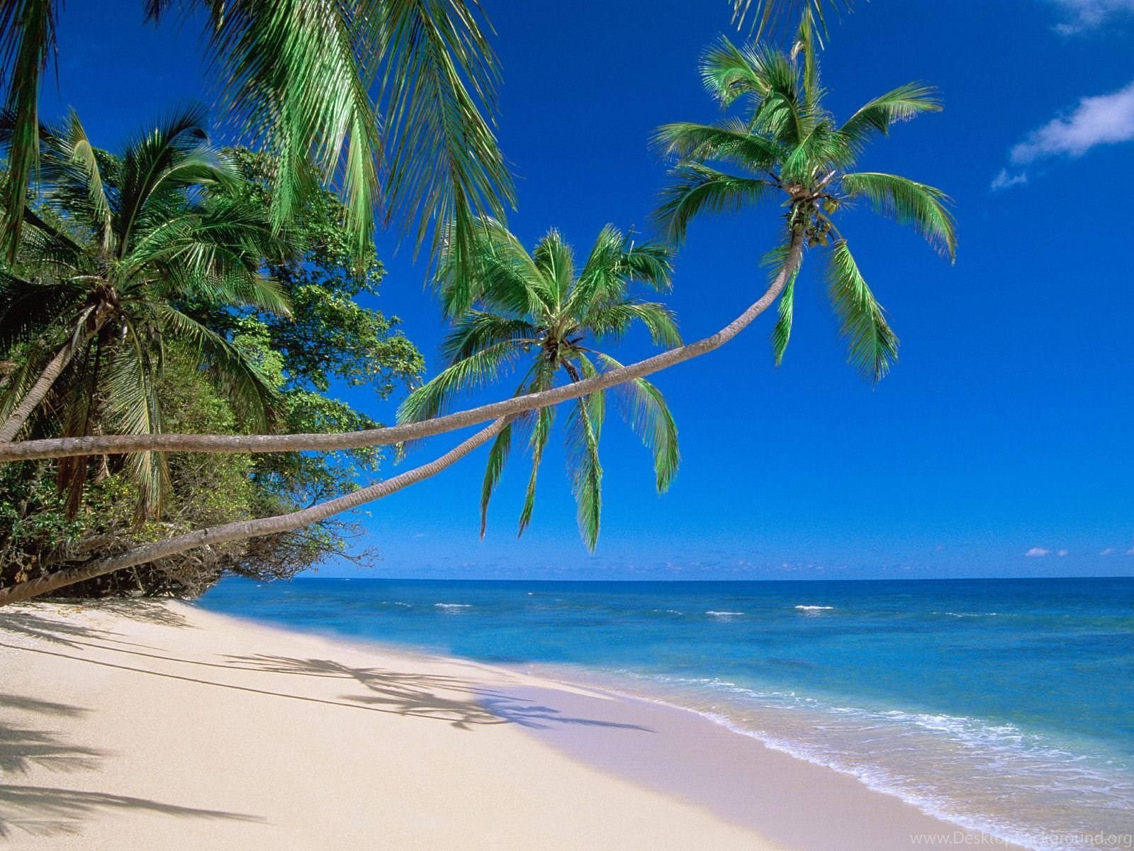 Cayman Island, tropical beach, white sand, HD Desktop Wallpaper