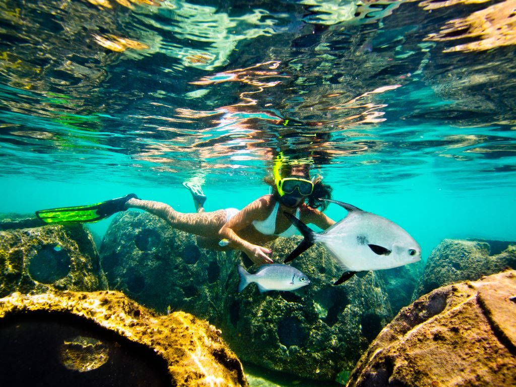 Cayman Island, snorkeling, rocks, SD Desktop Wallpaper