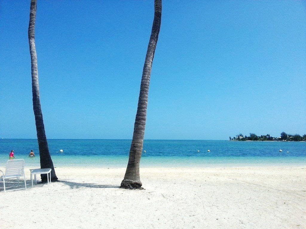 Cayman, palm trees, white sand beach, SD Desktop Wallpaper