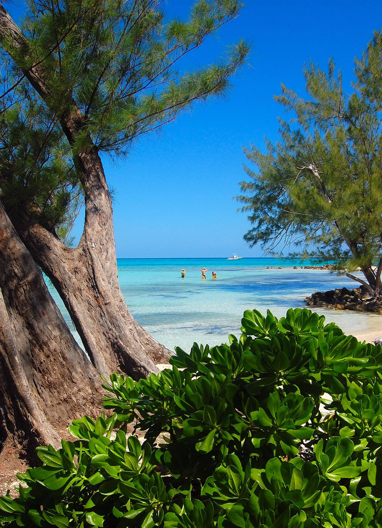 Cayman, island, tropical beach, Full HD Phone Wallpaper