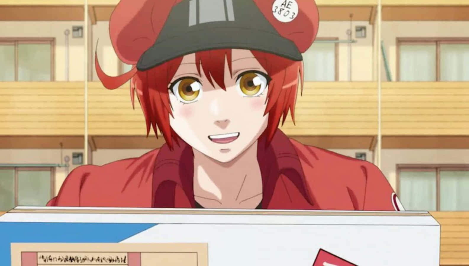 Ae3803, Cells At Work, anime girl, HD Desktop Wallpaper