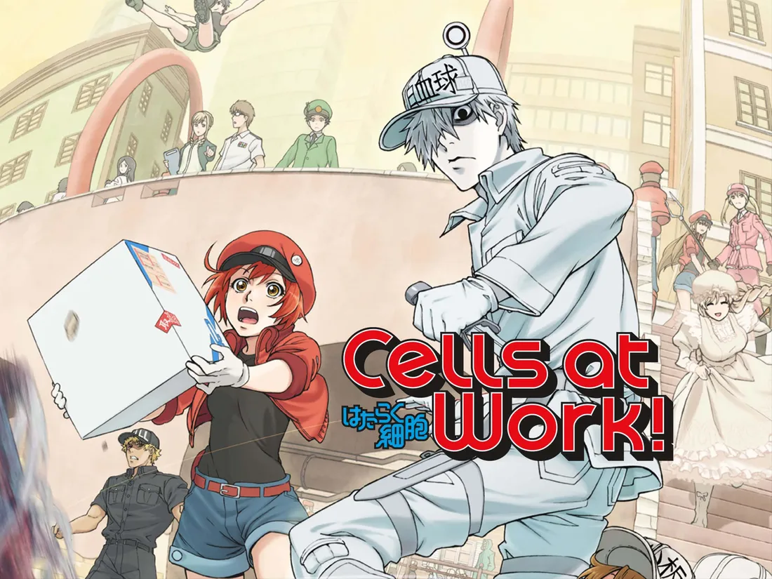 Cells At Work Eosinophil