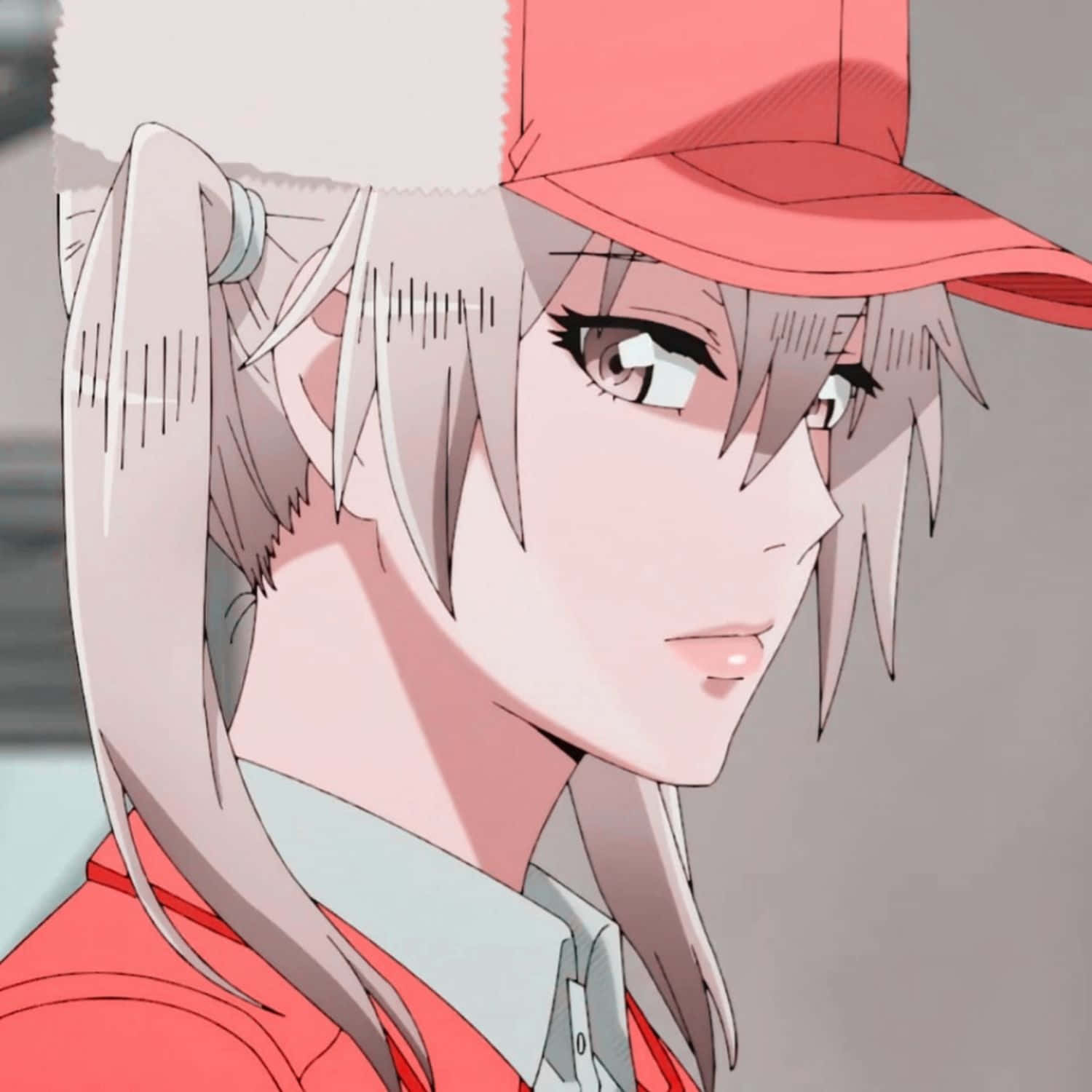 Eosinophil Cells At Work, anime girl, silver hair, HD Desktop Wallpaper