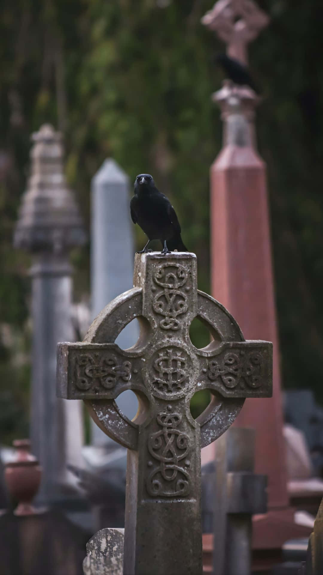 Celtic cross, raven, glossy black, Full HD Phone Wallpaper