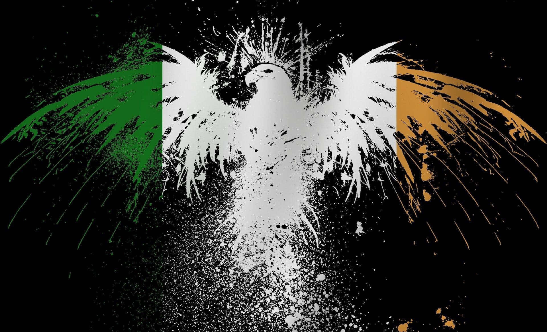Celtic Irish, white eagle, green white and orange flag, Full HD Desktop Wallpaper