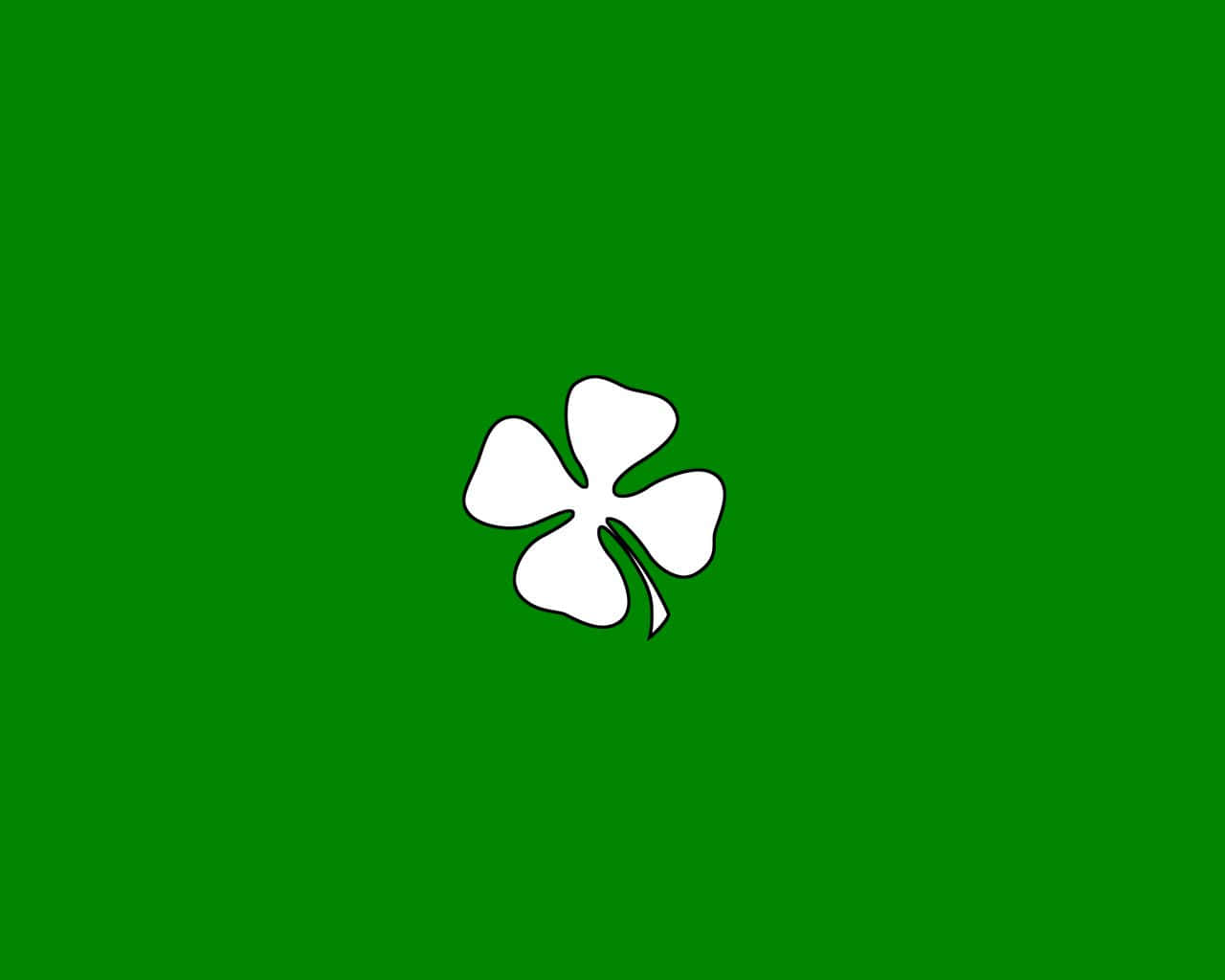 Celtic Irish, four leaf clover, white, HD Desktop Wallpaper