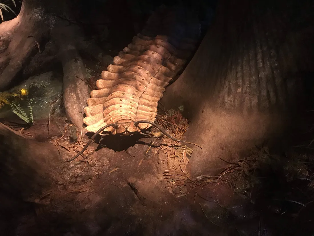Centipede
