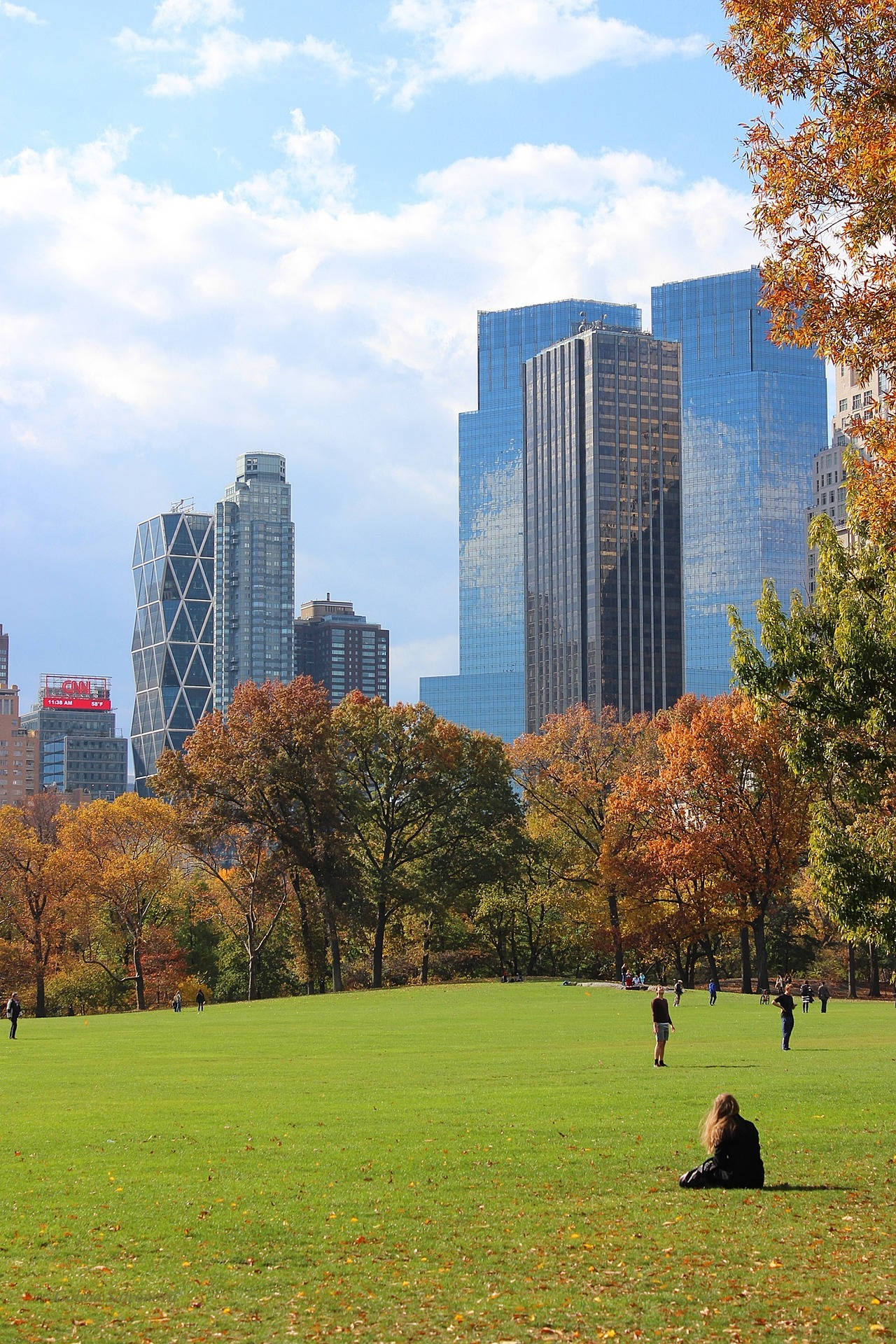 Central Park, grassy park lawn, autumn trees, Full HD Phone Wallpaper