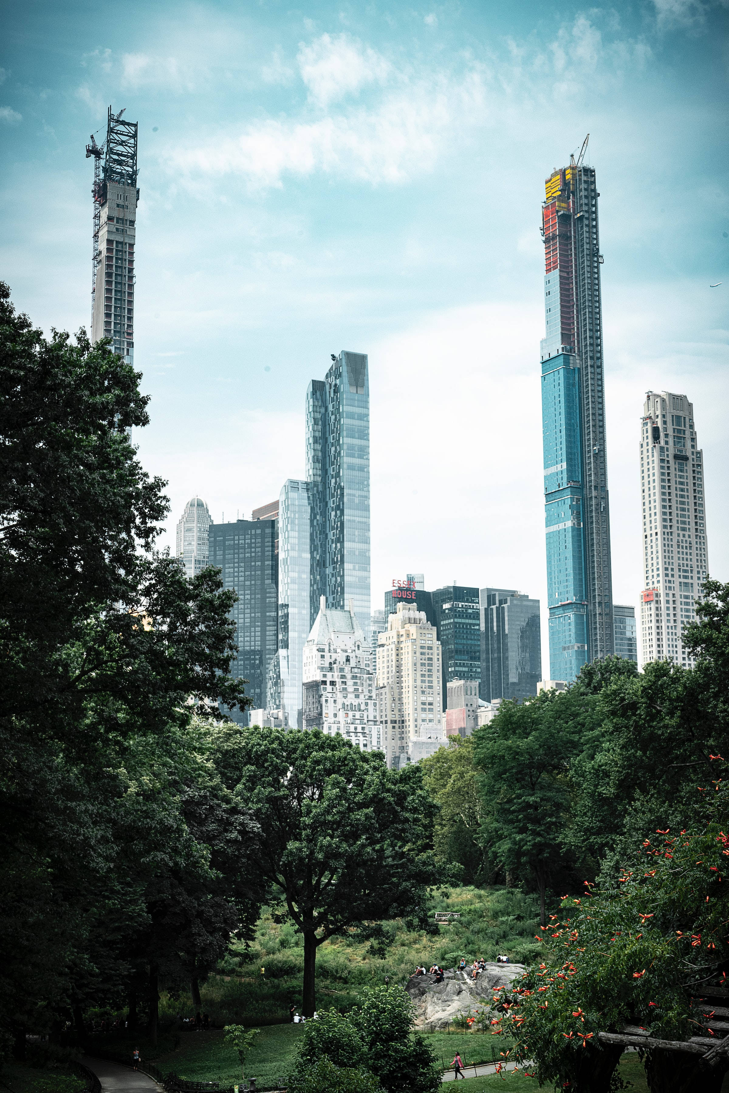 Central Park, skyscrapers, bright blue sky, 2K Phone Wallpaper