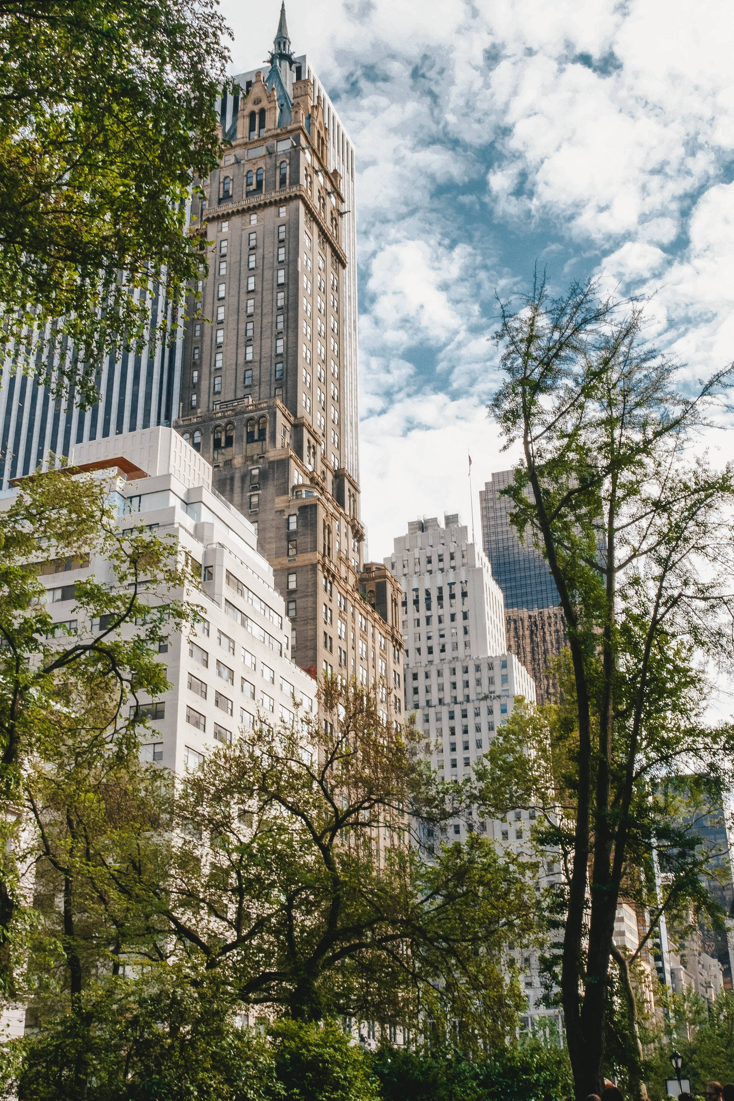 Central Park, skyscrapers, bright blue sky, 2K Phone Wallpaper