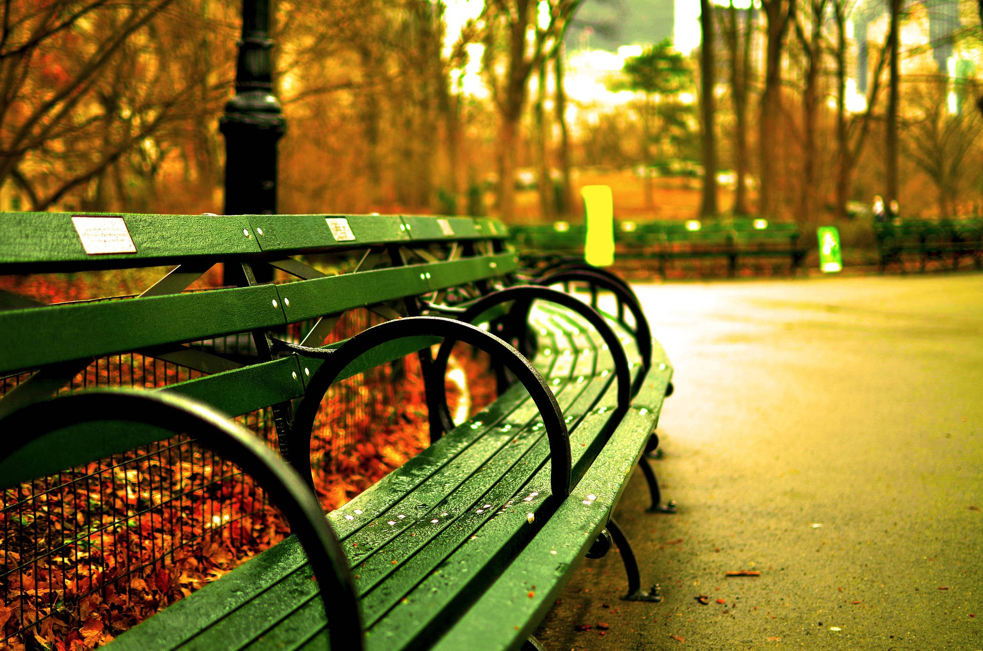 green bench, Central Park, autumn leaves, Full HD Desktop Wallpaper