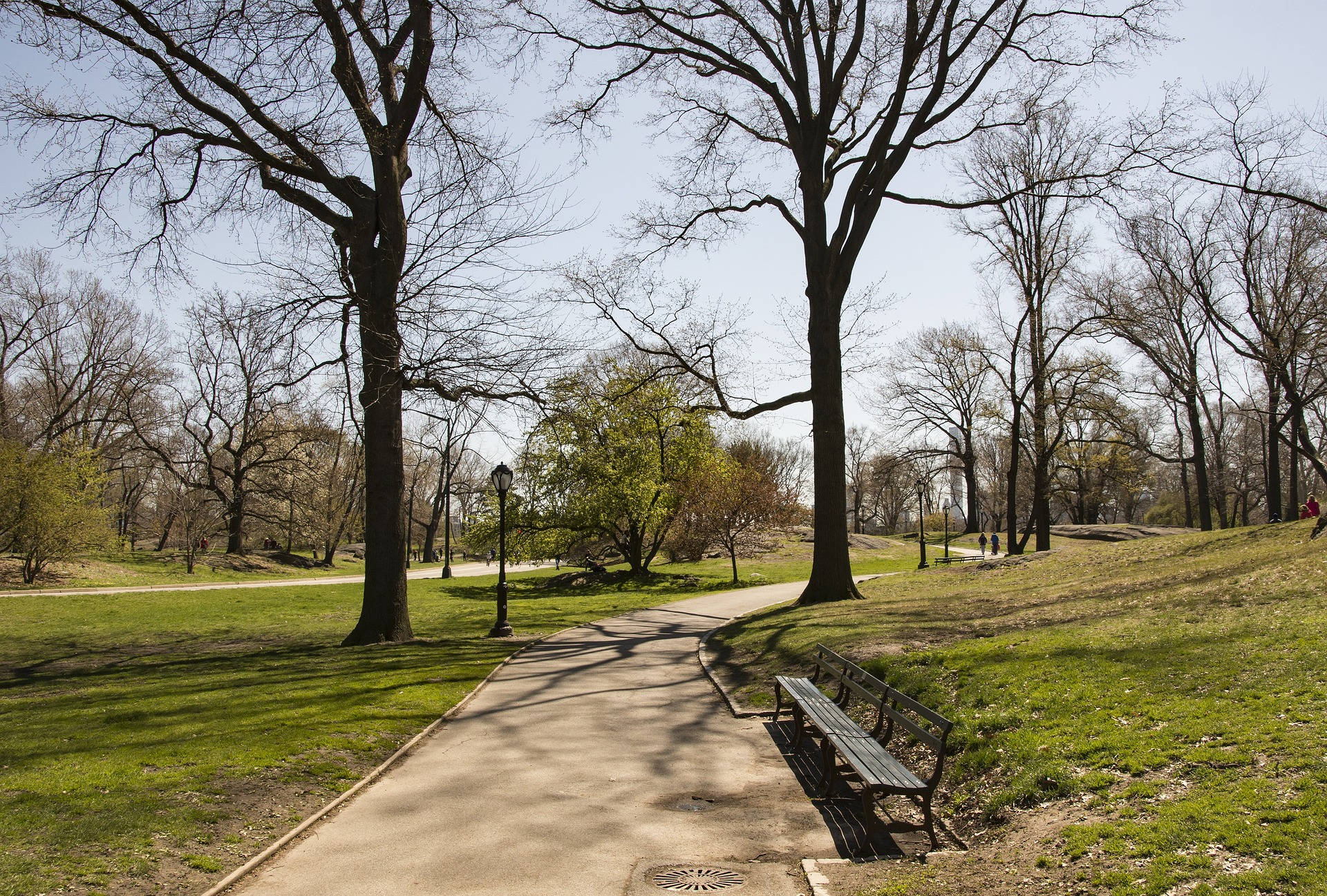 Central Park, winding path, bare trees, Full HD Desktop Wallpaper