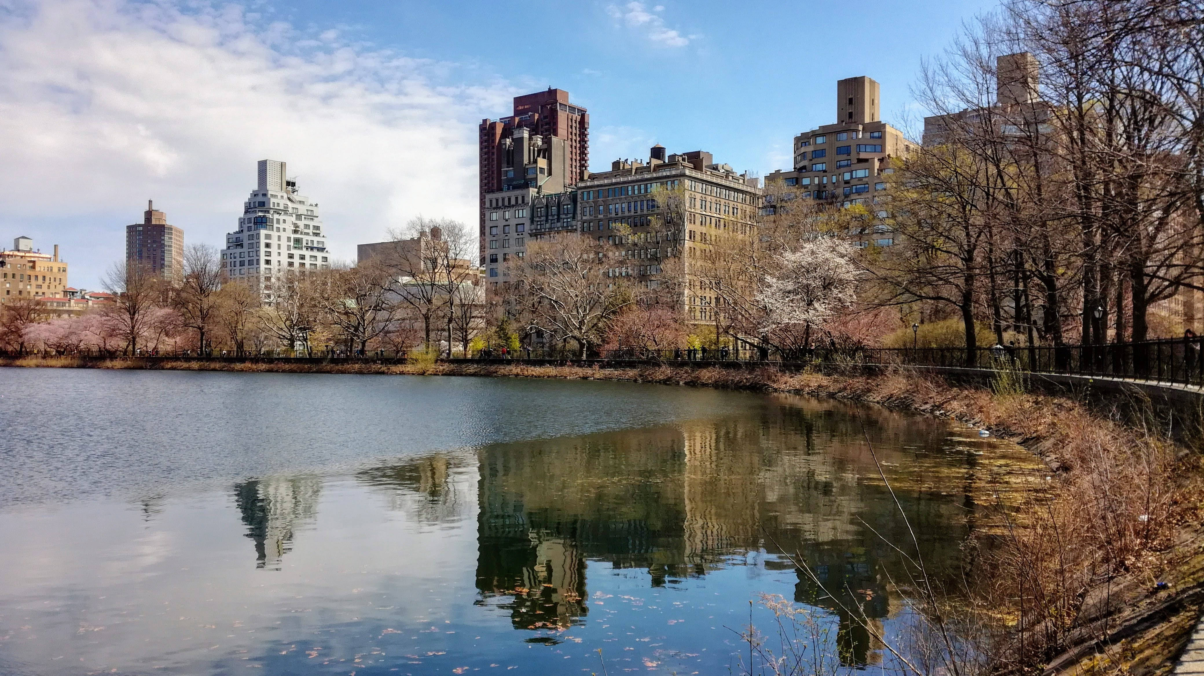 Central Park, lake, pond, 4K Desktop Wallpaper